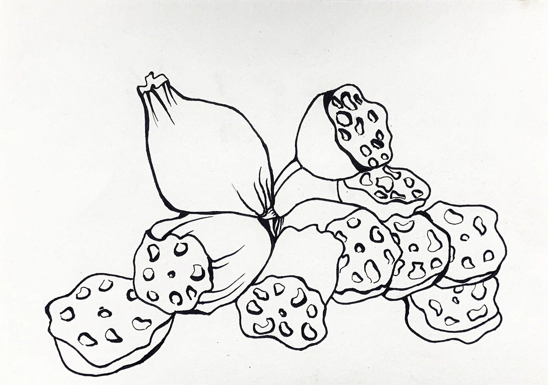 少儿美术 线描|莲藕(附步骤图解) 线描莲藕步骤图解 今日课题:线描