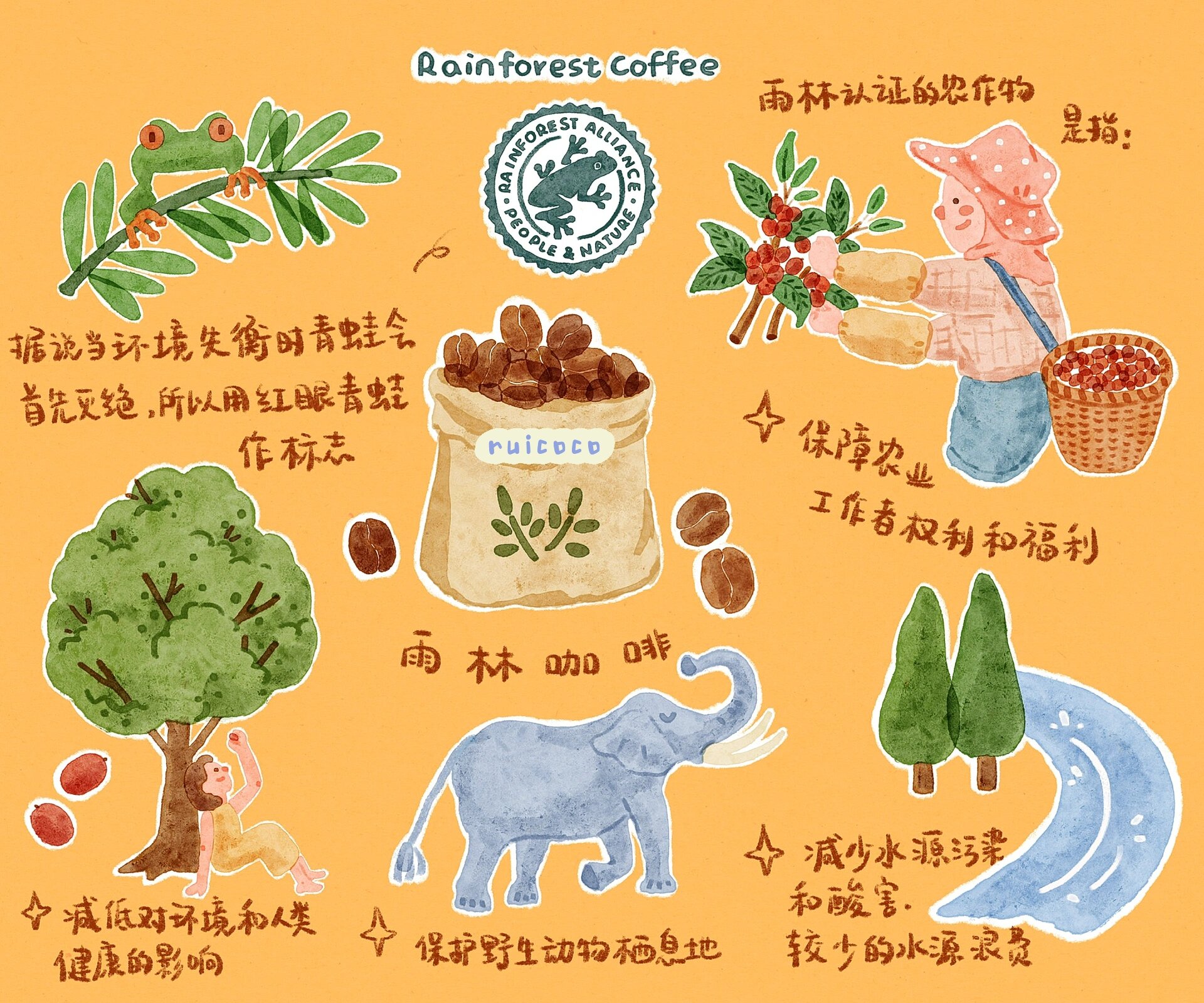 插画/关于雨林咖啡7515 前几天为咖啡店画画时被科普到的小知识