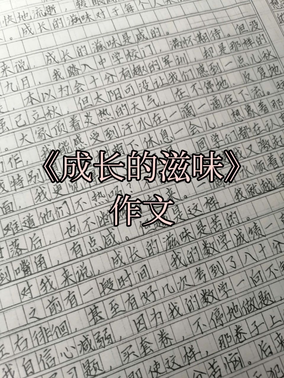 低分的作文600字左右图片