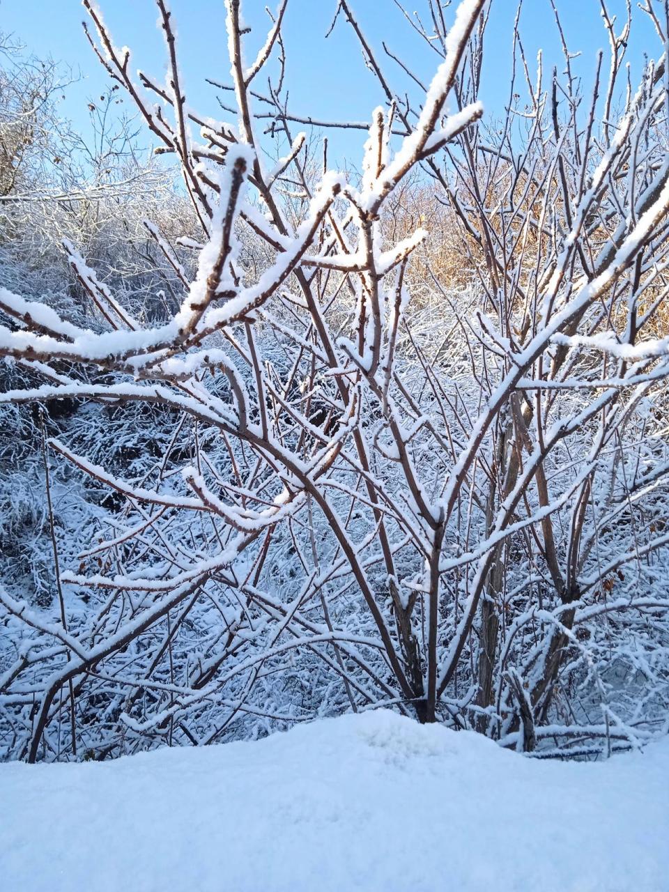 乌鲁木齐唯美雪景图片