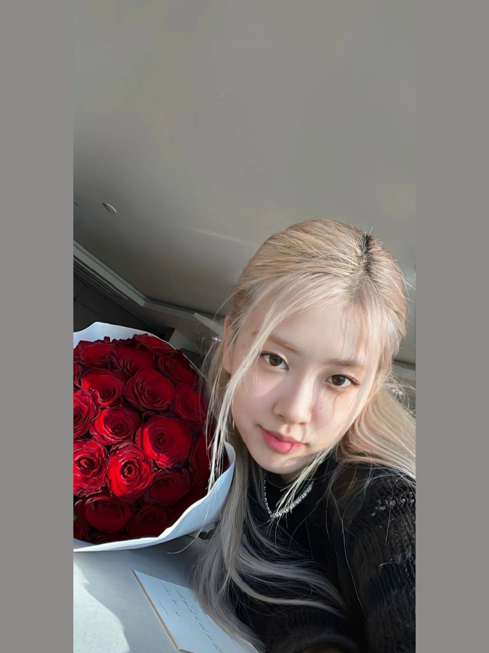 朴彩英壁纸第五十三弹 "我就是圣罗兰女帝,澳洲野玫瑰 朴彩英"