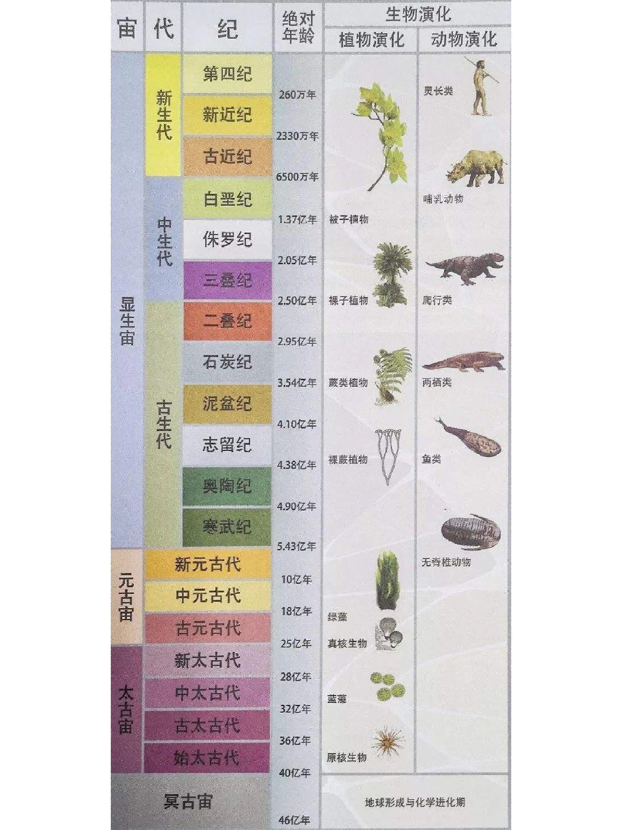 地质部分之新人教版地理❶-地质年代表 高中阶段,地质年代表大致