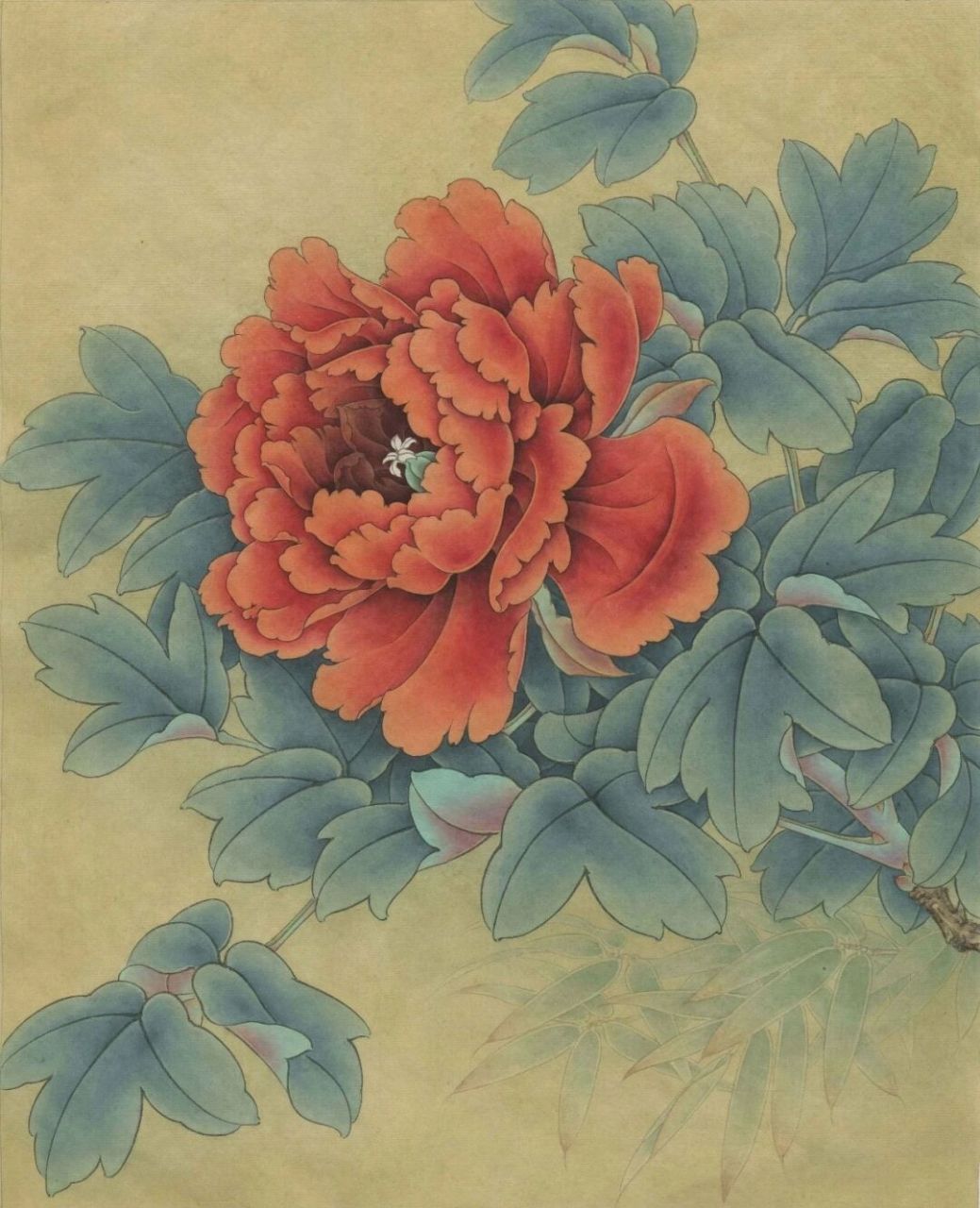 工笔画步骤分享牡丹《状元红》 1,状元红牡丹花大如盘,清香扑鼻.