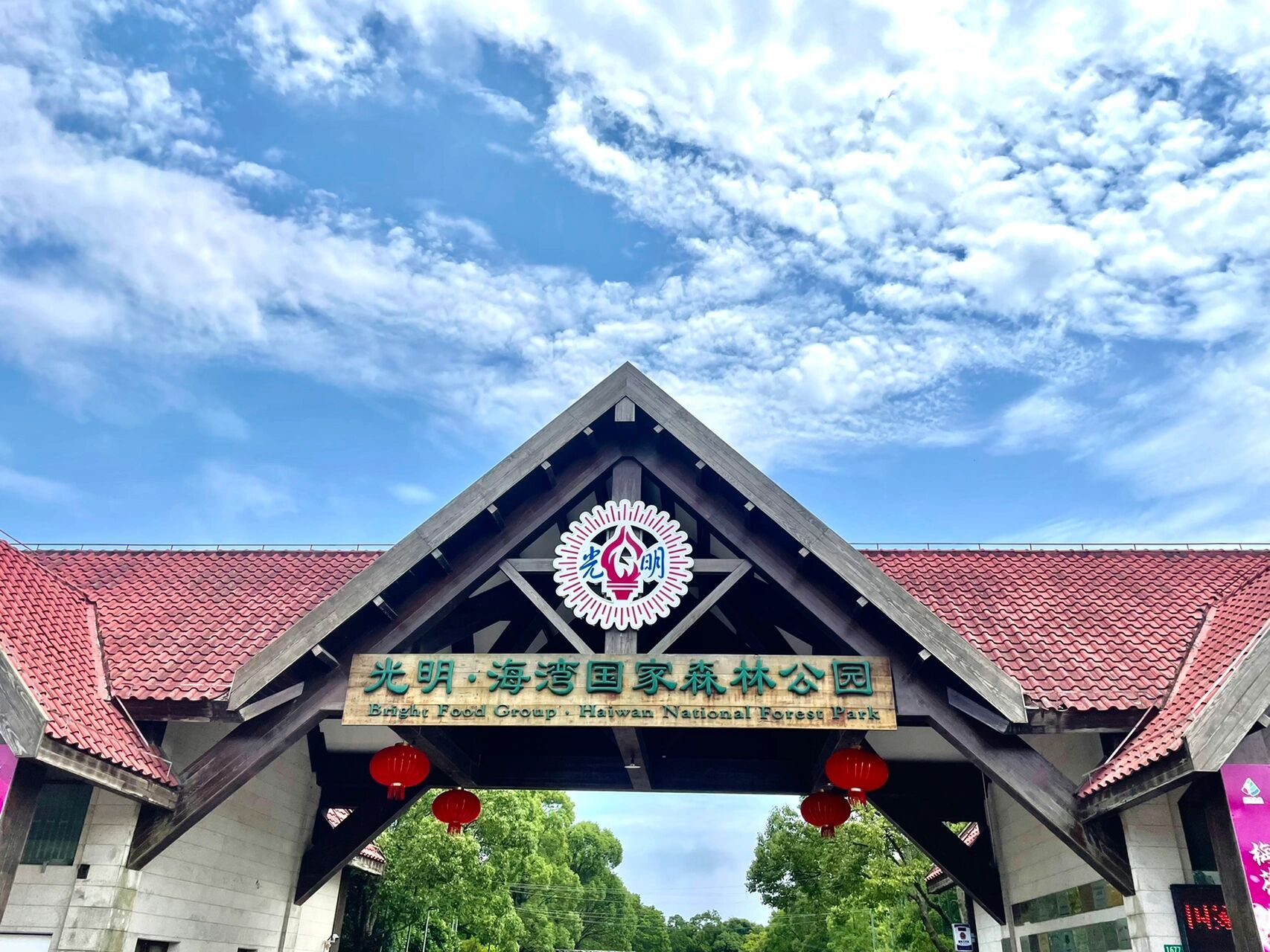 上海海湾国家森林公园|上海自驾游|周末踏青    经历75天终于迎来了