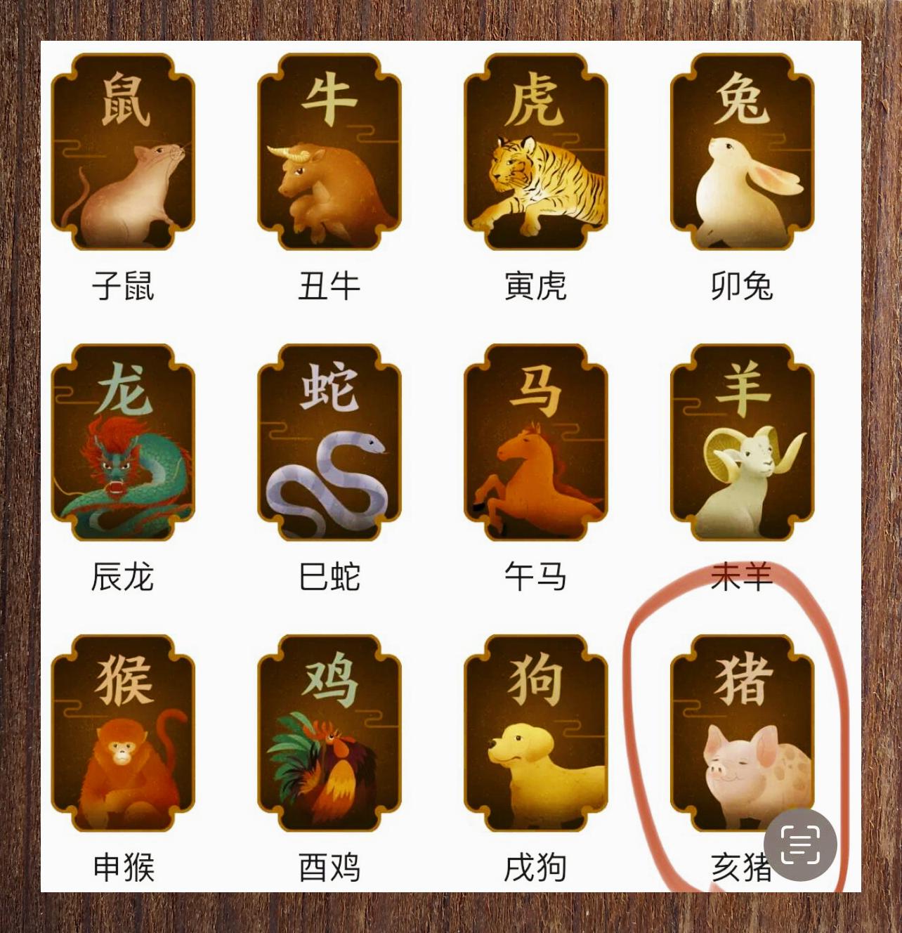 猪年猪生肖的运势(猪年属猪的运势及运程)