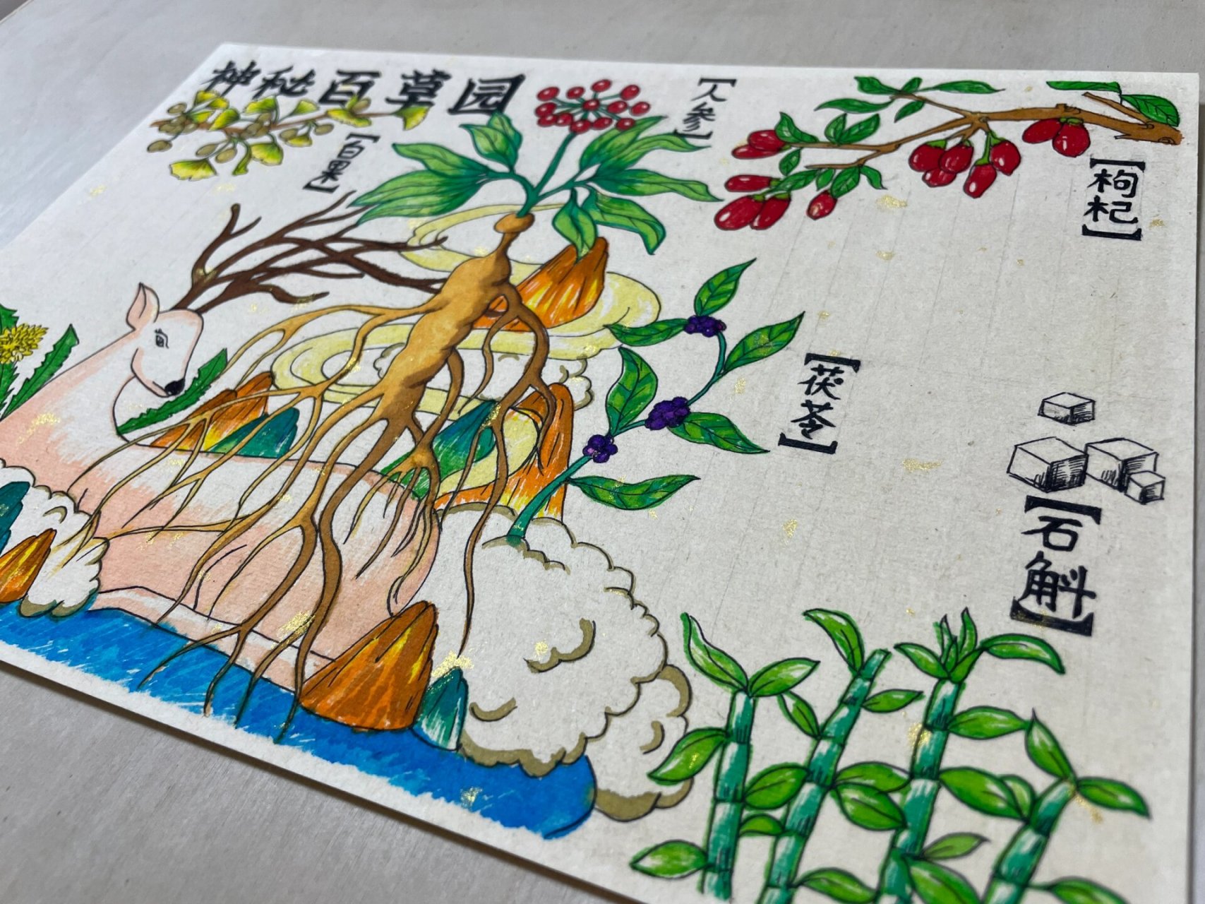 百草园手抄报 学校举办的一个关于中草药手抄报,老母亲画画,孩子写字