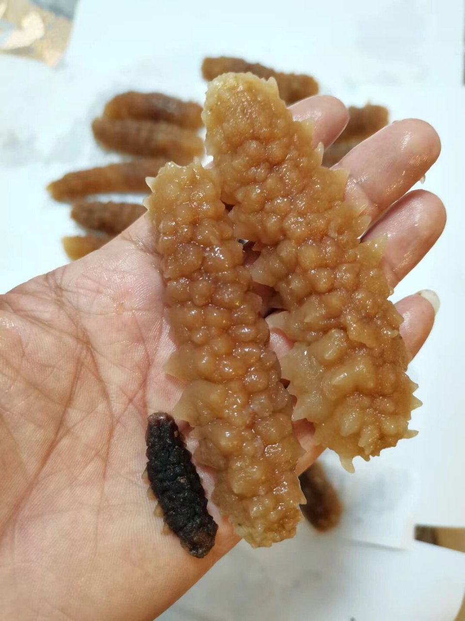 野生印尼小刺参～肉质好,口感爽 【野生印尼小刺参】 298一斤90