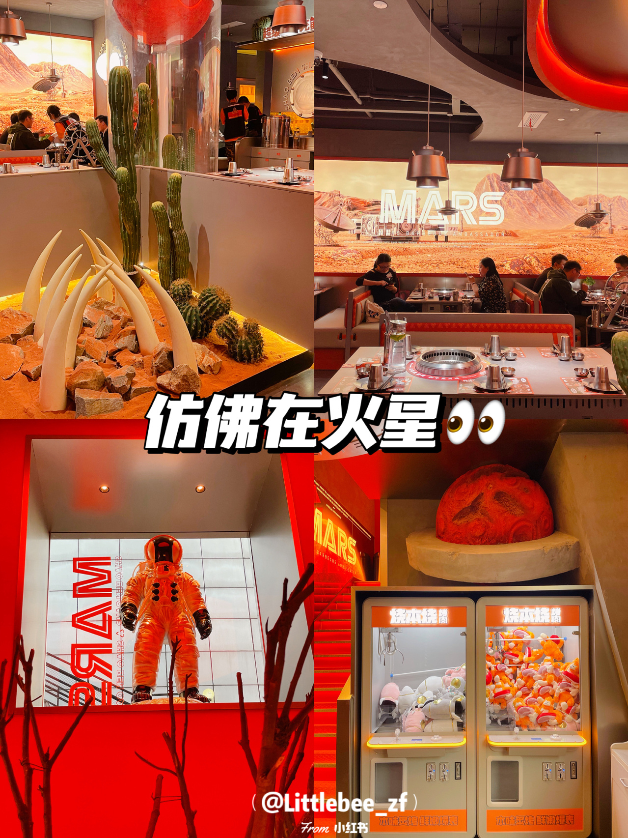全球首店‼️来自火星的烧本烧烤肉味道绝了 📣📣📣定了定