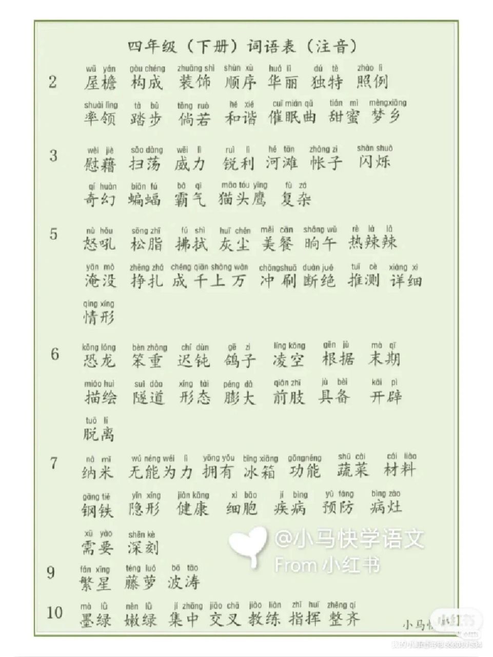 四年级下册课后词语表