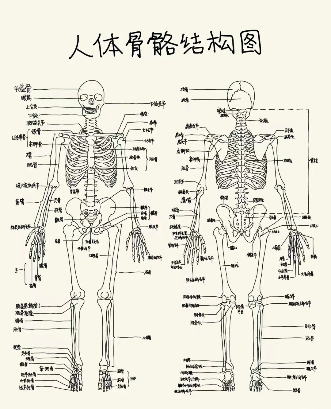 画好速写系列