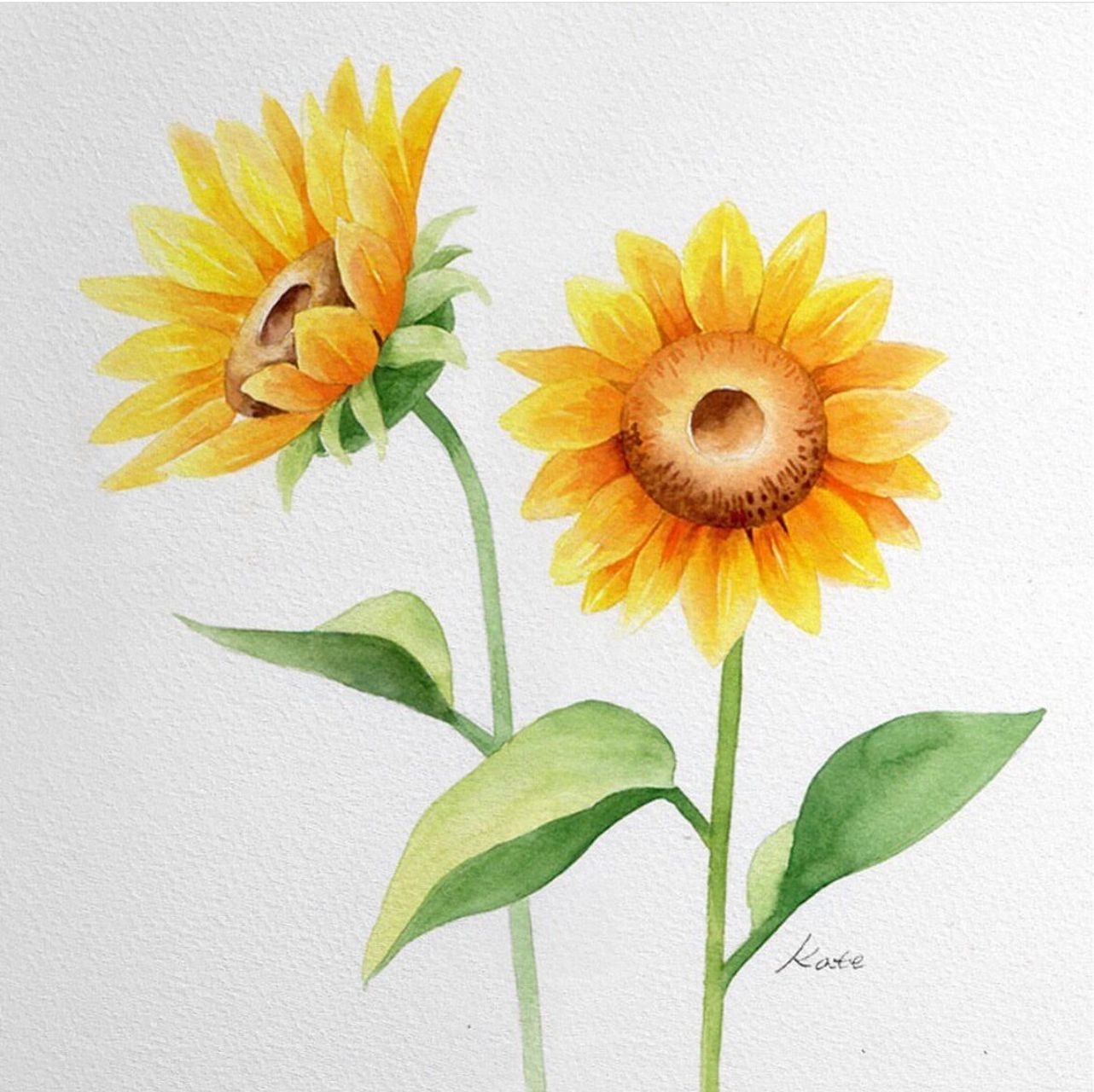 不会画花7175151招带你画好太阳花94有手就能会  向日葵97