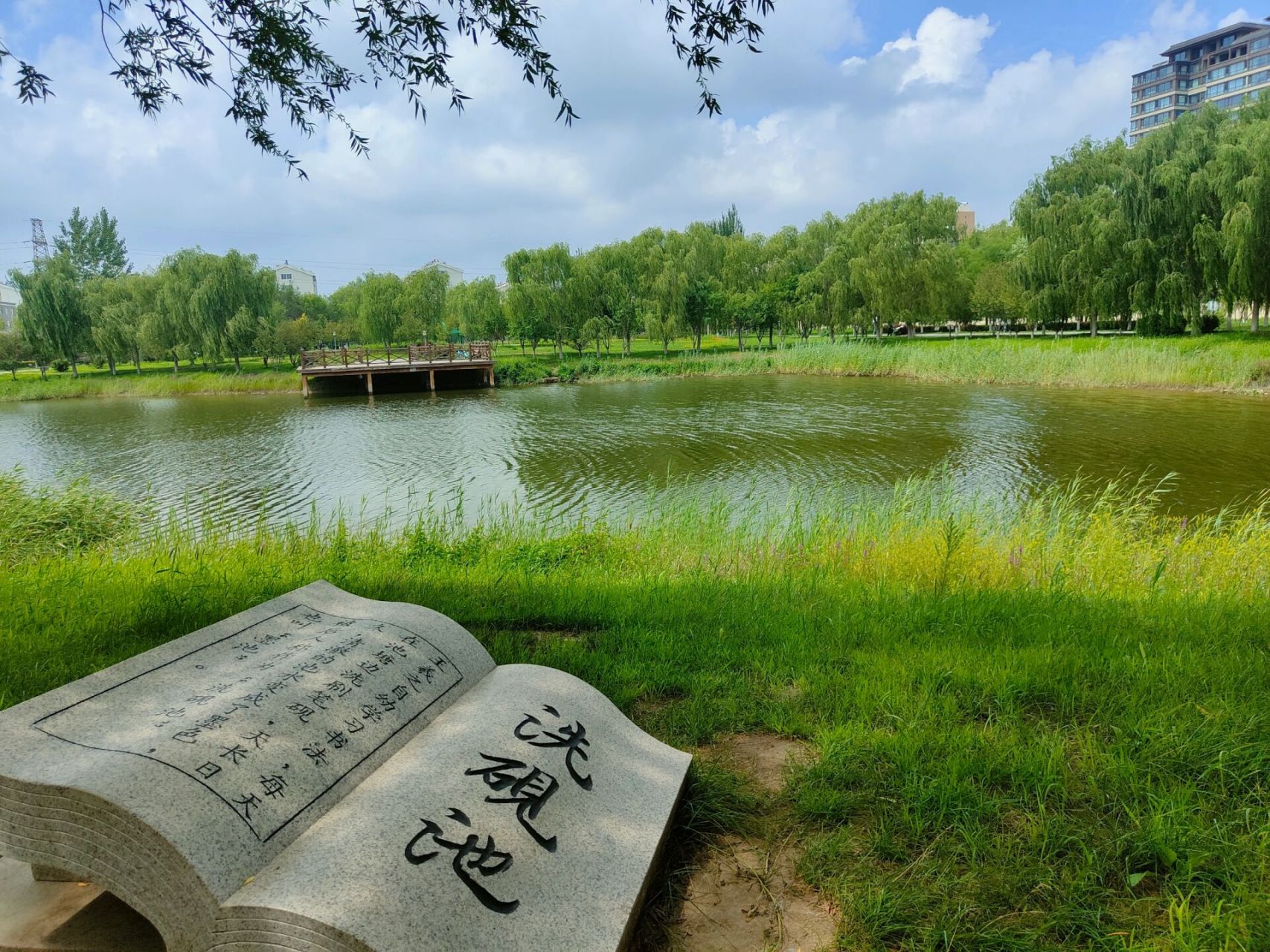 盘锦康桥公园 悄悄是别离的笙箫,沉默是今晚的康桥.