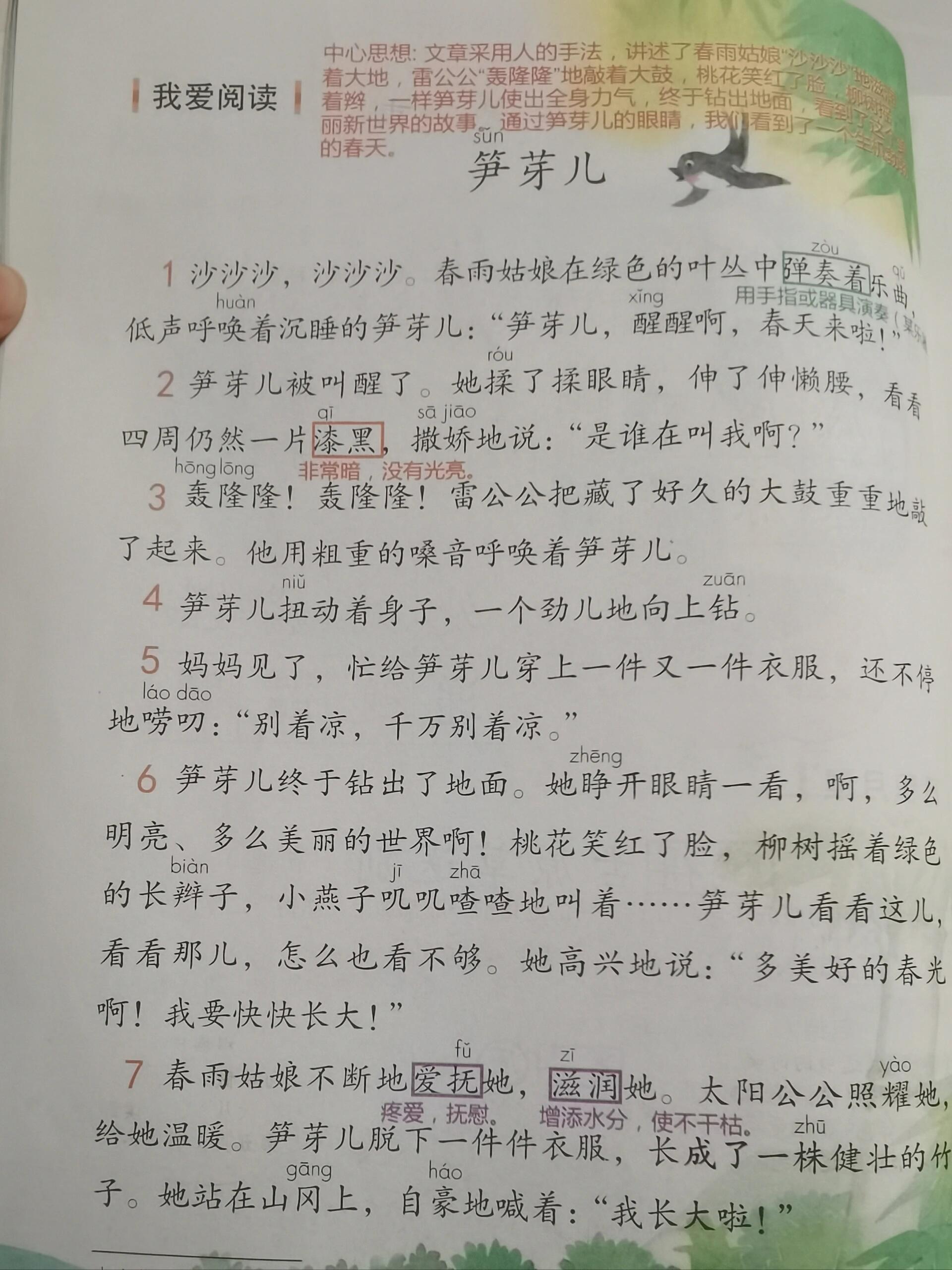 我爱阅读《笋芽儿》 二年级语文下册!我爱阅读《笋芽儿》