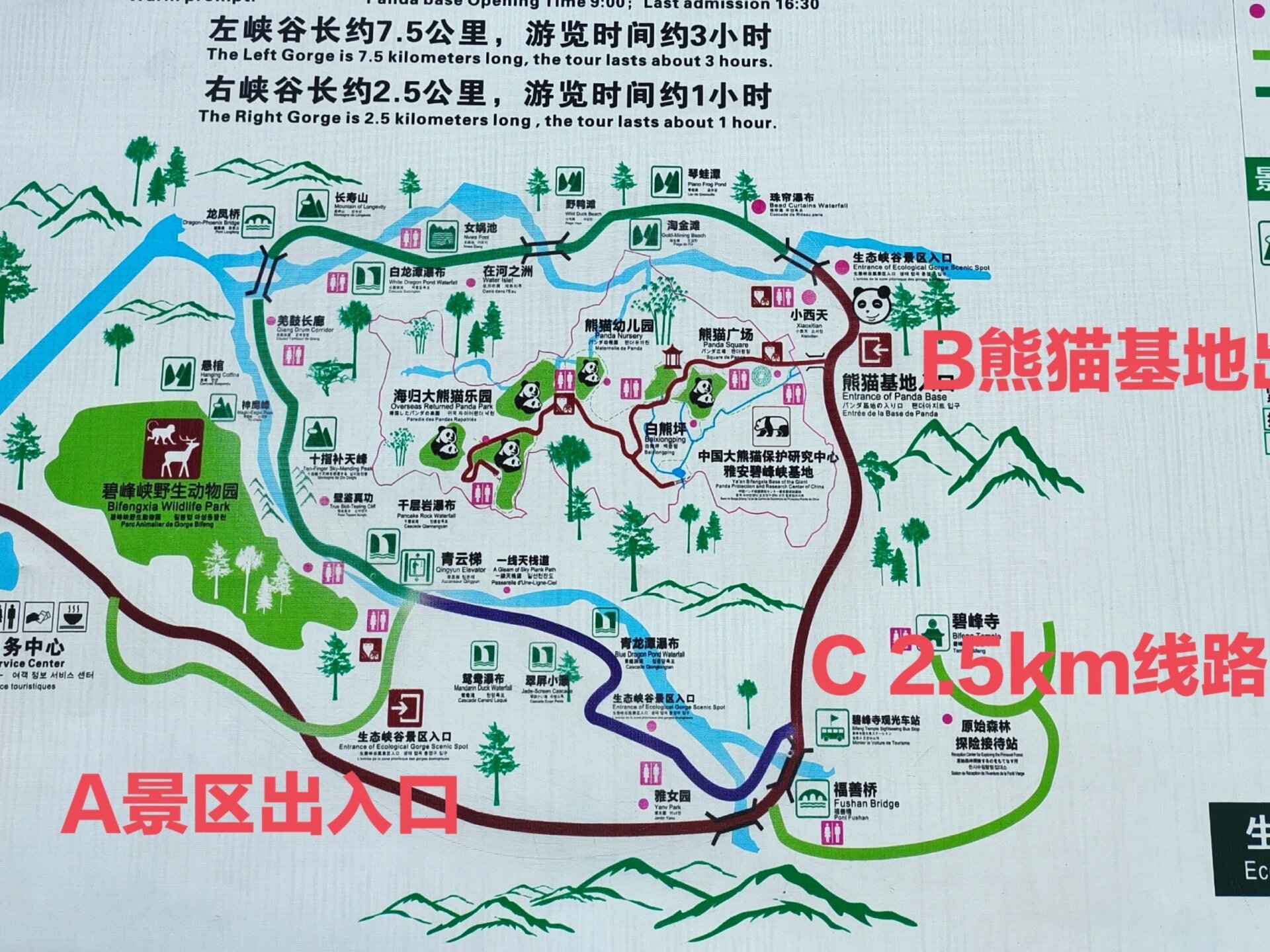 碧峰峡熊猫基地和生态峡谷景区最清晰路线