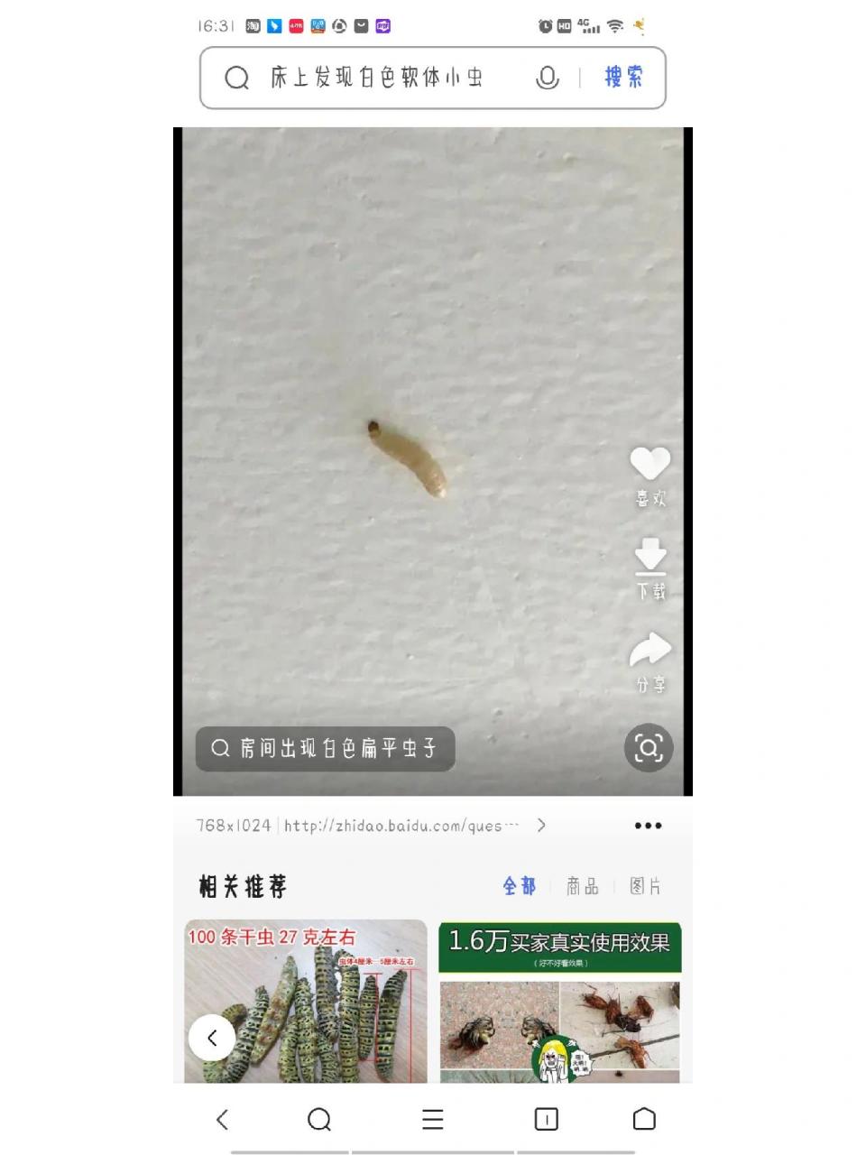 床上出现白色软体小虫,有点像图上的,大小1mm左右.