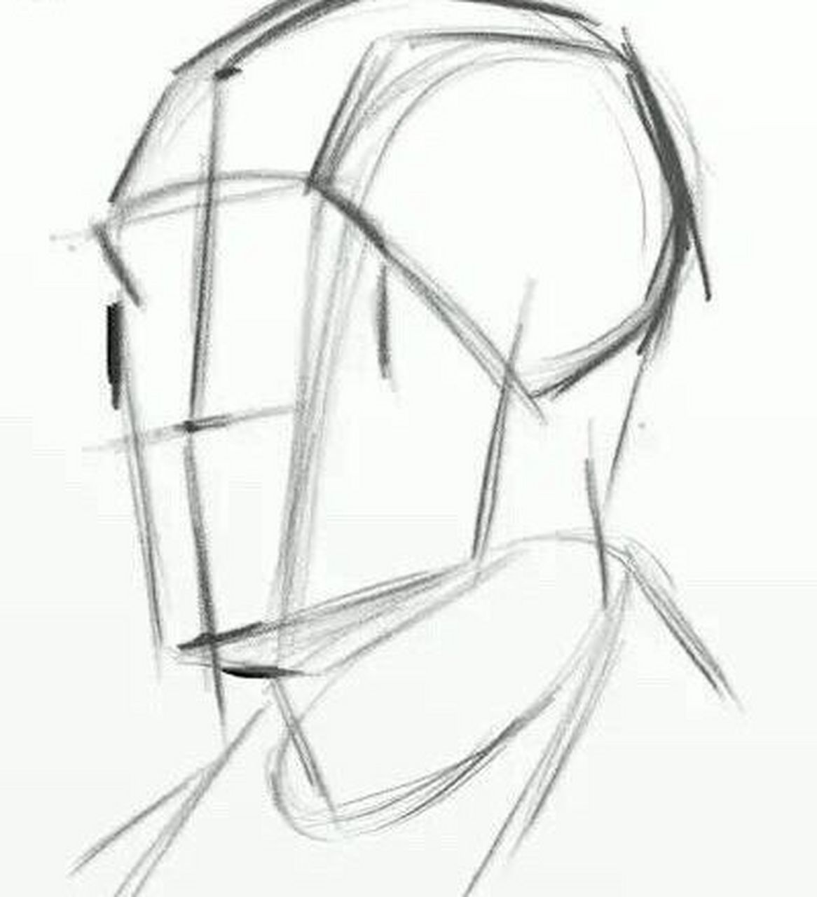素描头像结构解析,步骤总结 1.