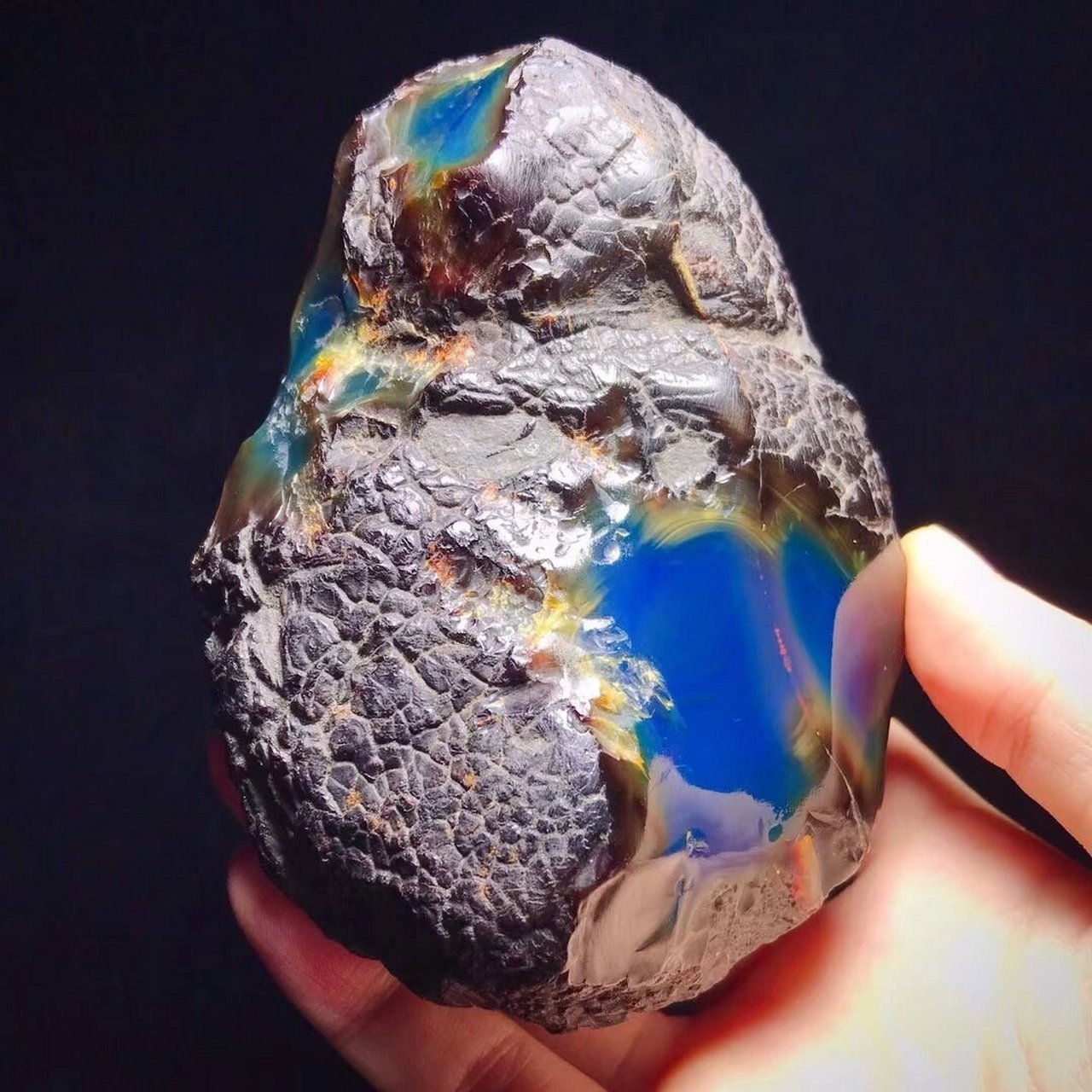 传说中的多米尼加蓝珀,矿区源头来咯 ——多米新货原石—— 多米净水