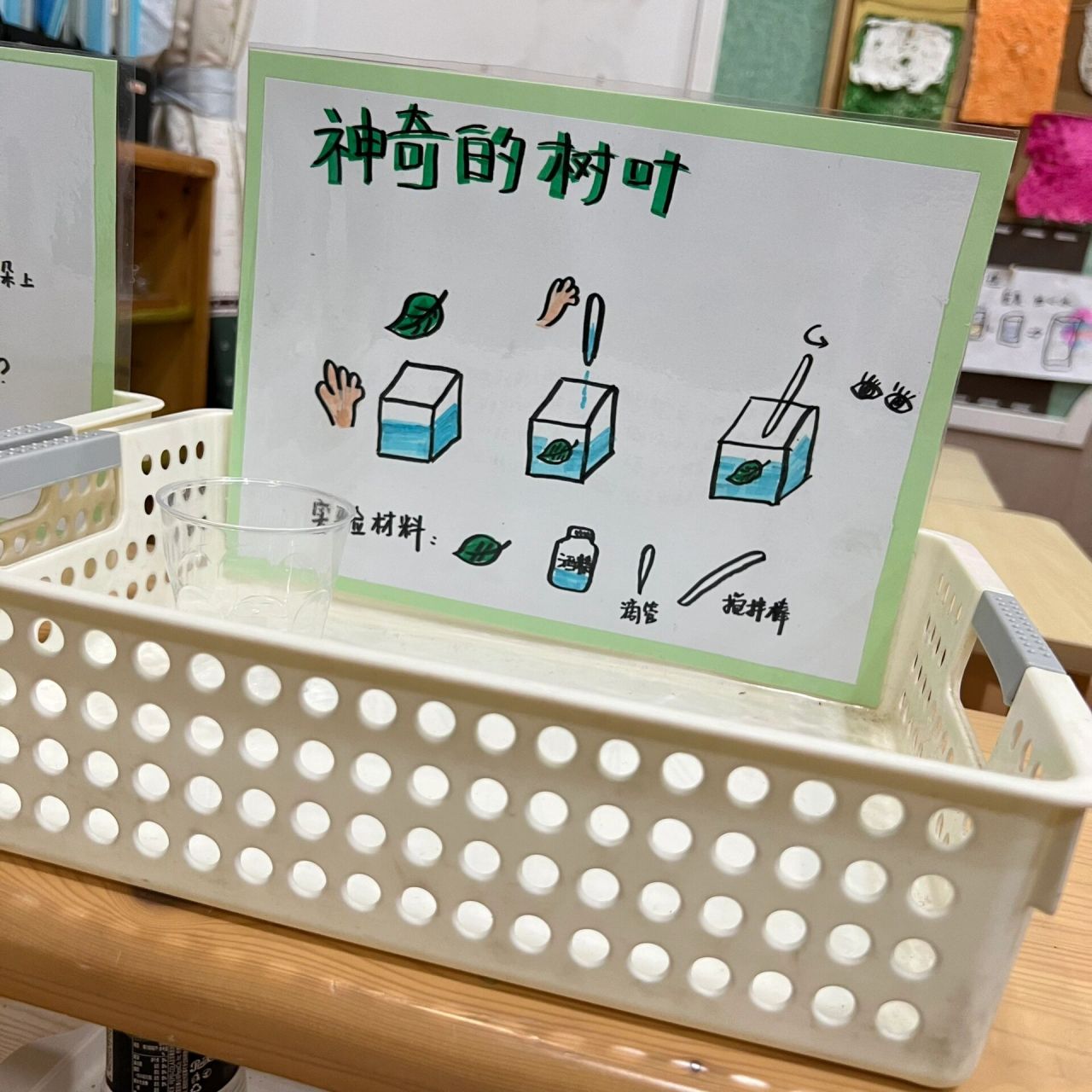 幼儿园 大班 科学区自制材料