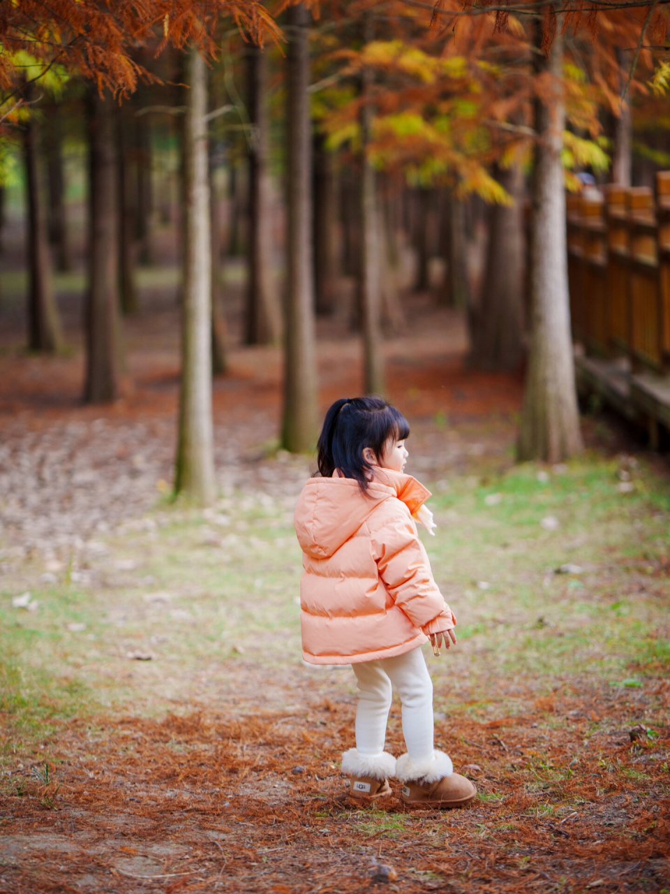 ootd|这个穿羽绒服的小女孩背影好可爱7615 冬日氛围感必须是羽绒