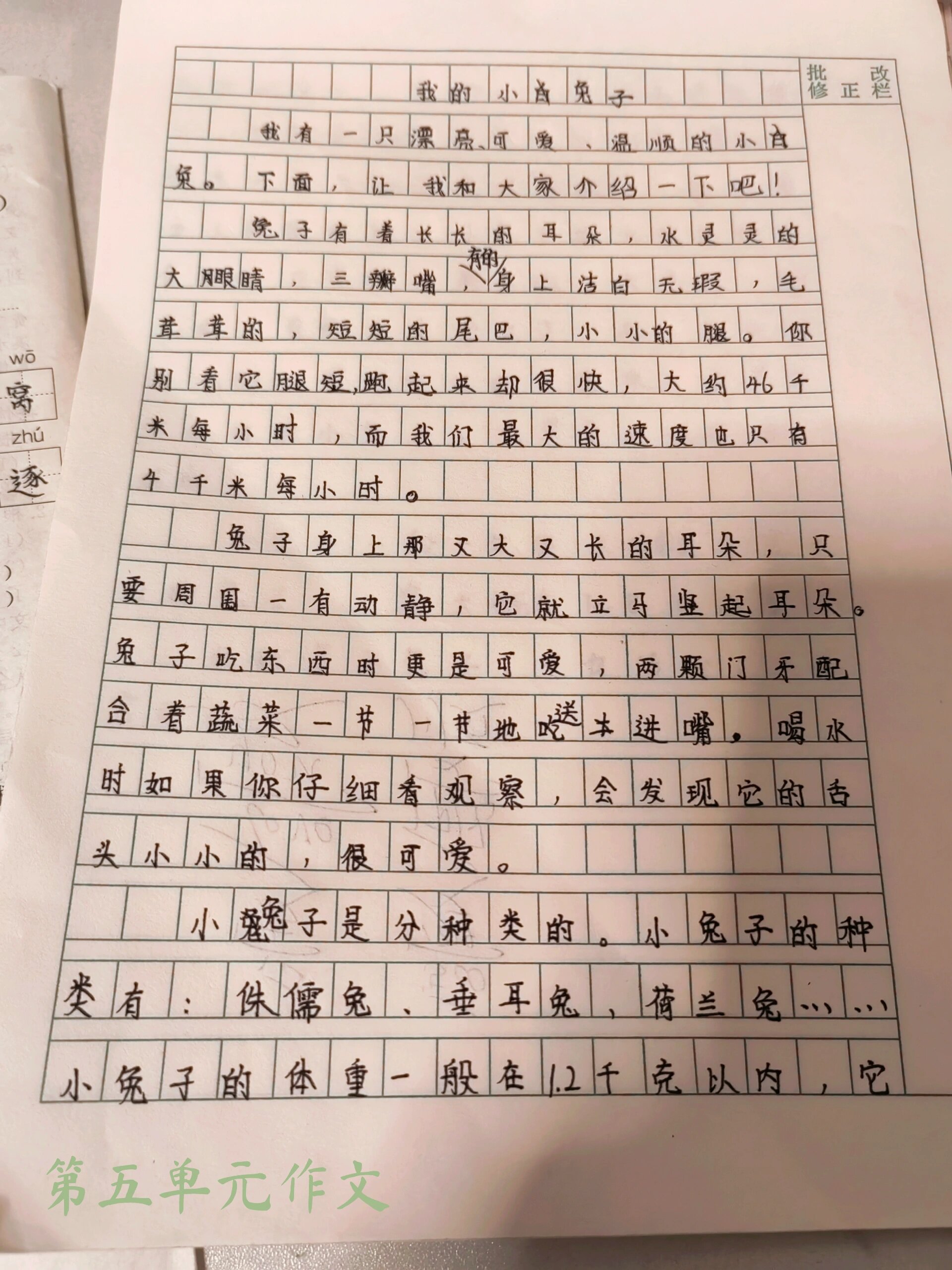 五年级上册作文 50字图片