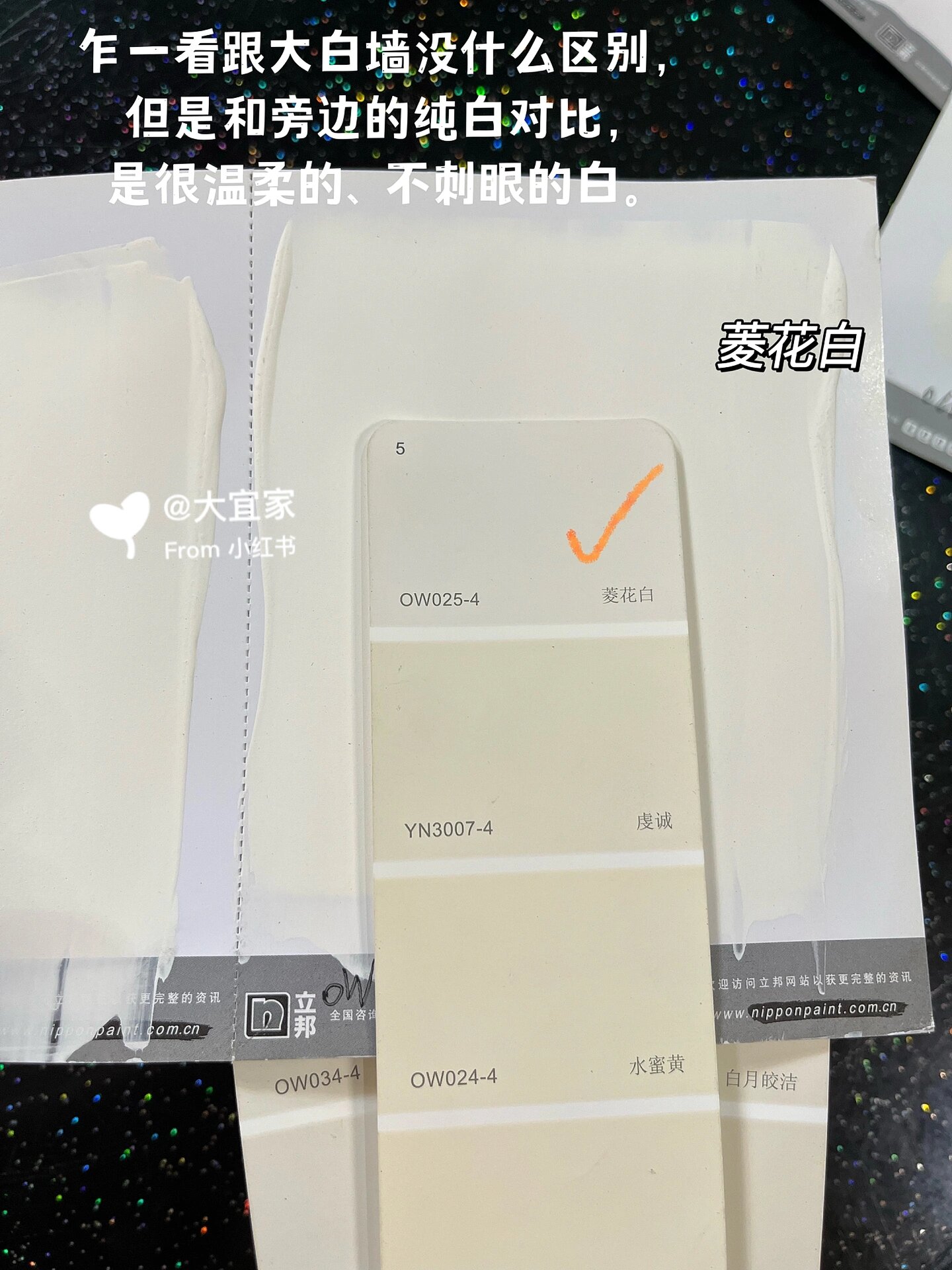治好选色纠结症超绝的立邦选色方法❗️❗️