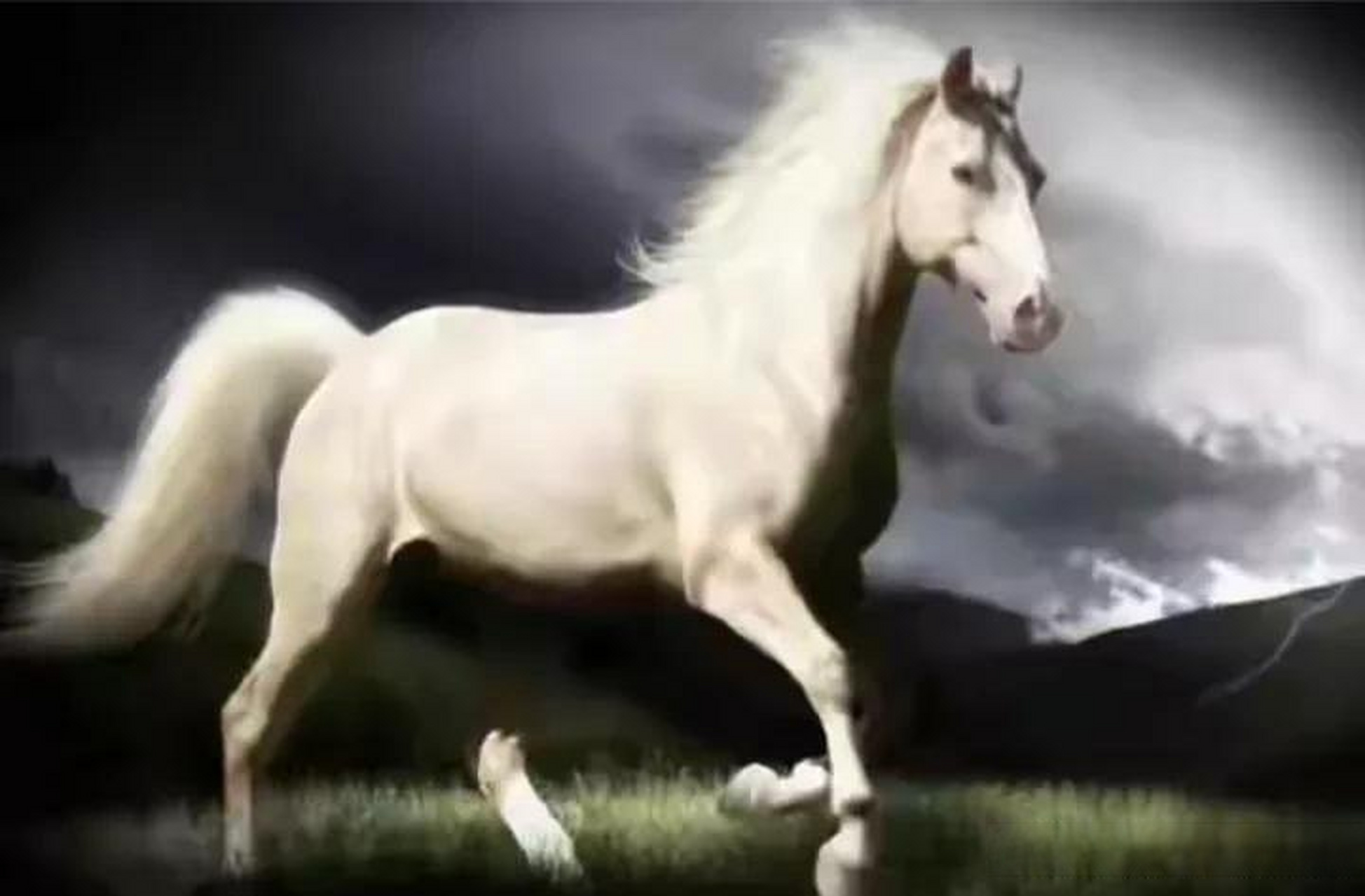 中国古代坐骑战马大盘点: 吕布:赤兔胭脂兽,关羽:赤兔胭脂兽 项羽