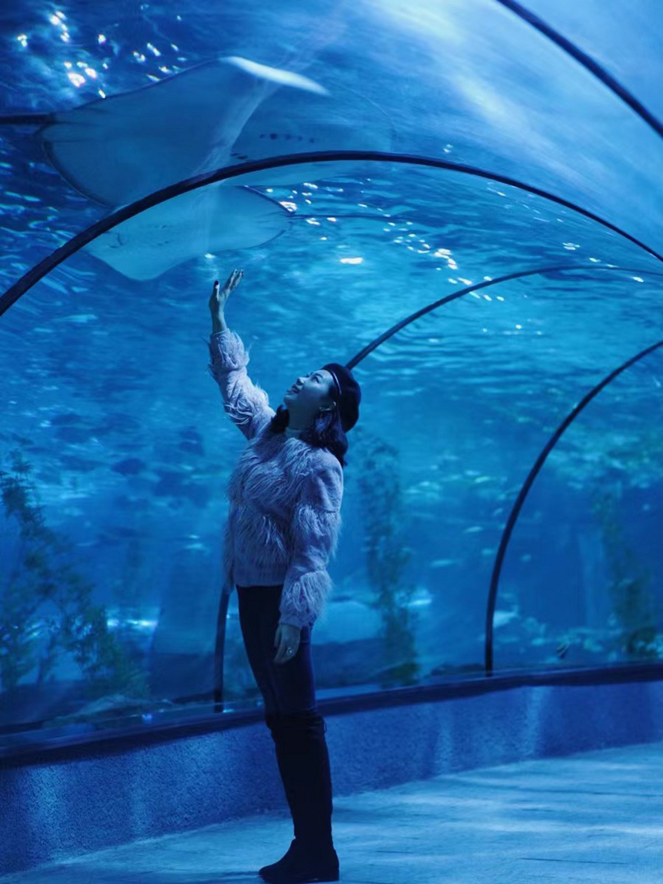 杭州浪漫海洋馆开放啦98收好这份游玩攻略 98杭州最大的海洋馆