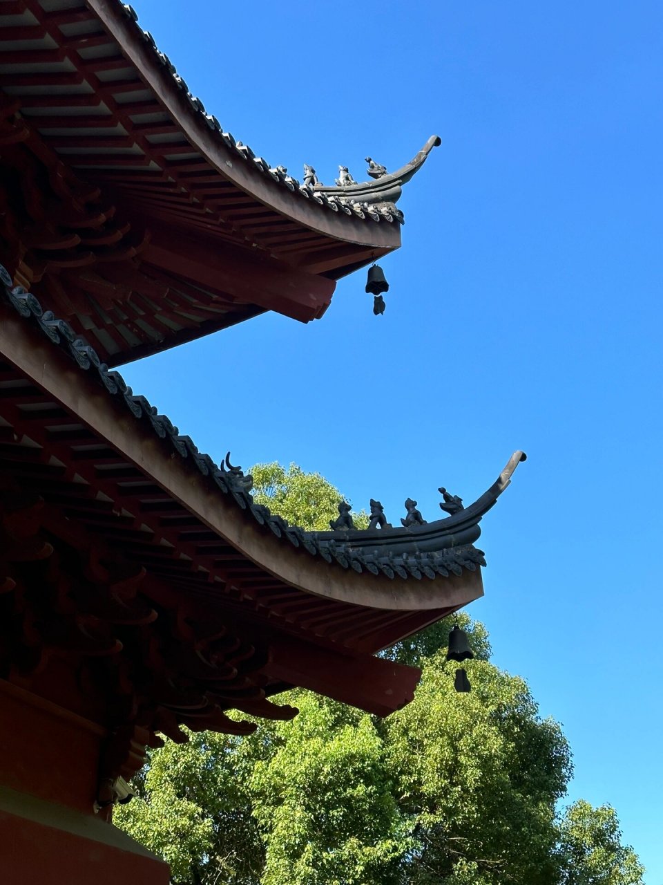 新昌-大佛寺 周末跟姐妹出发碳水之地的嵊州新昌,结果直接导致中暑!