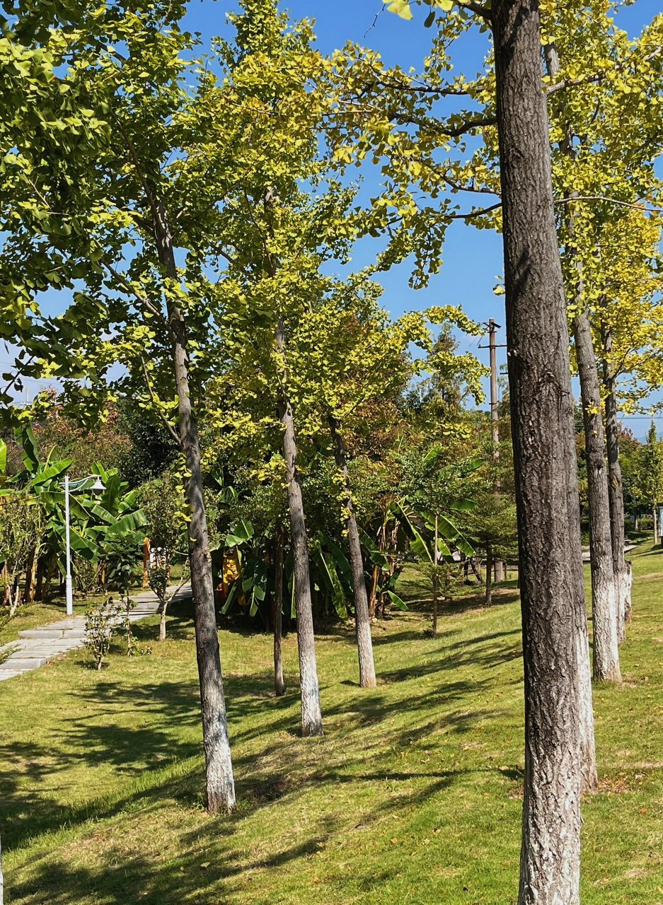 上杭小众景点|罗星塔公园 地图上搜不到的公园,在上杭水上运动中心