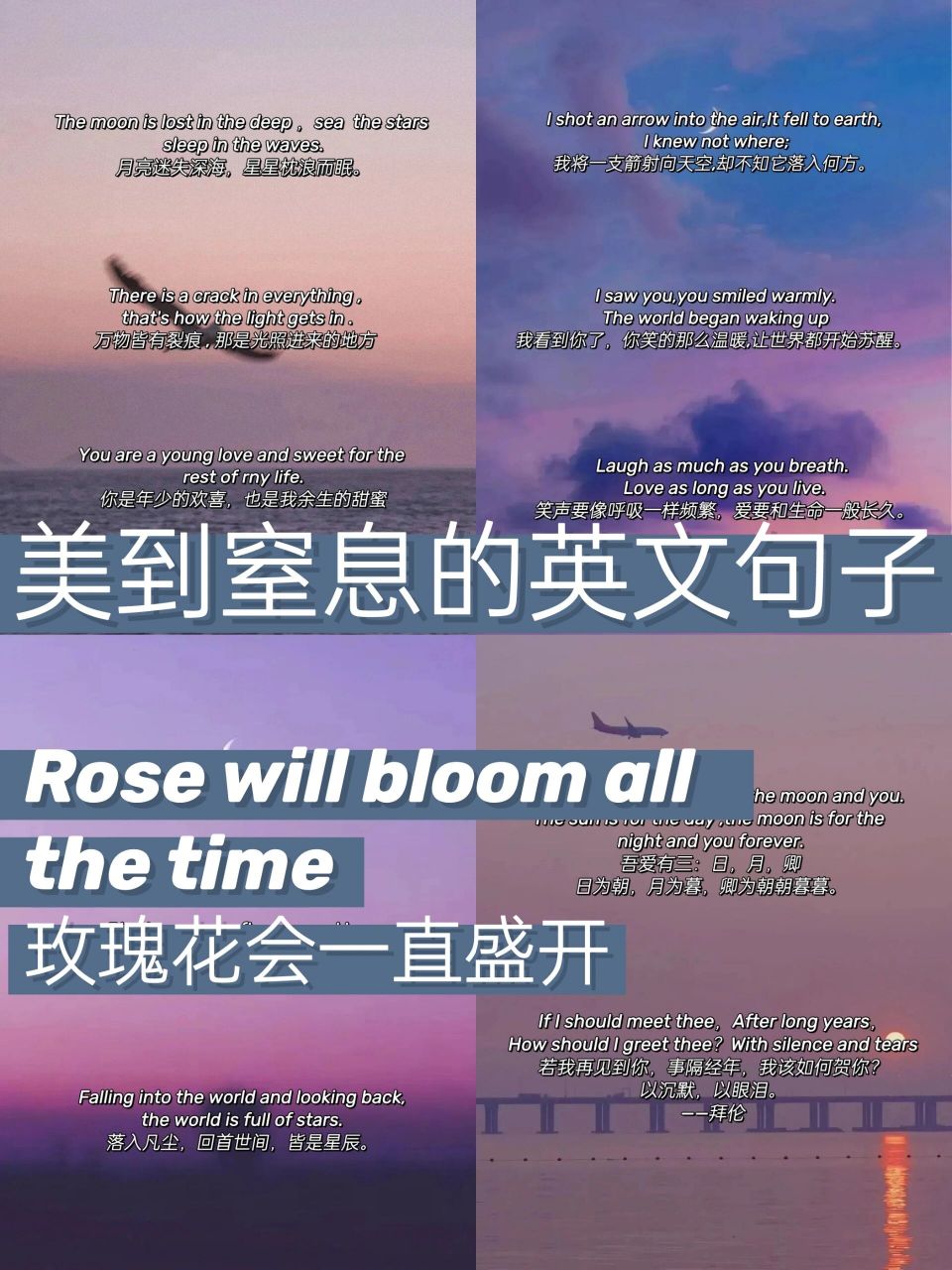 美到窒息的英文句子丨句句让人沉醉
