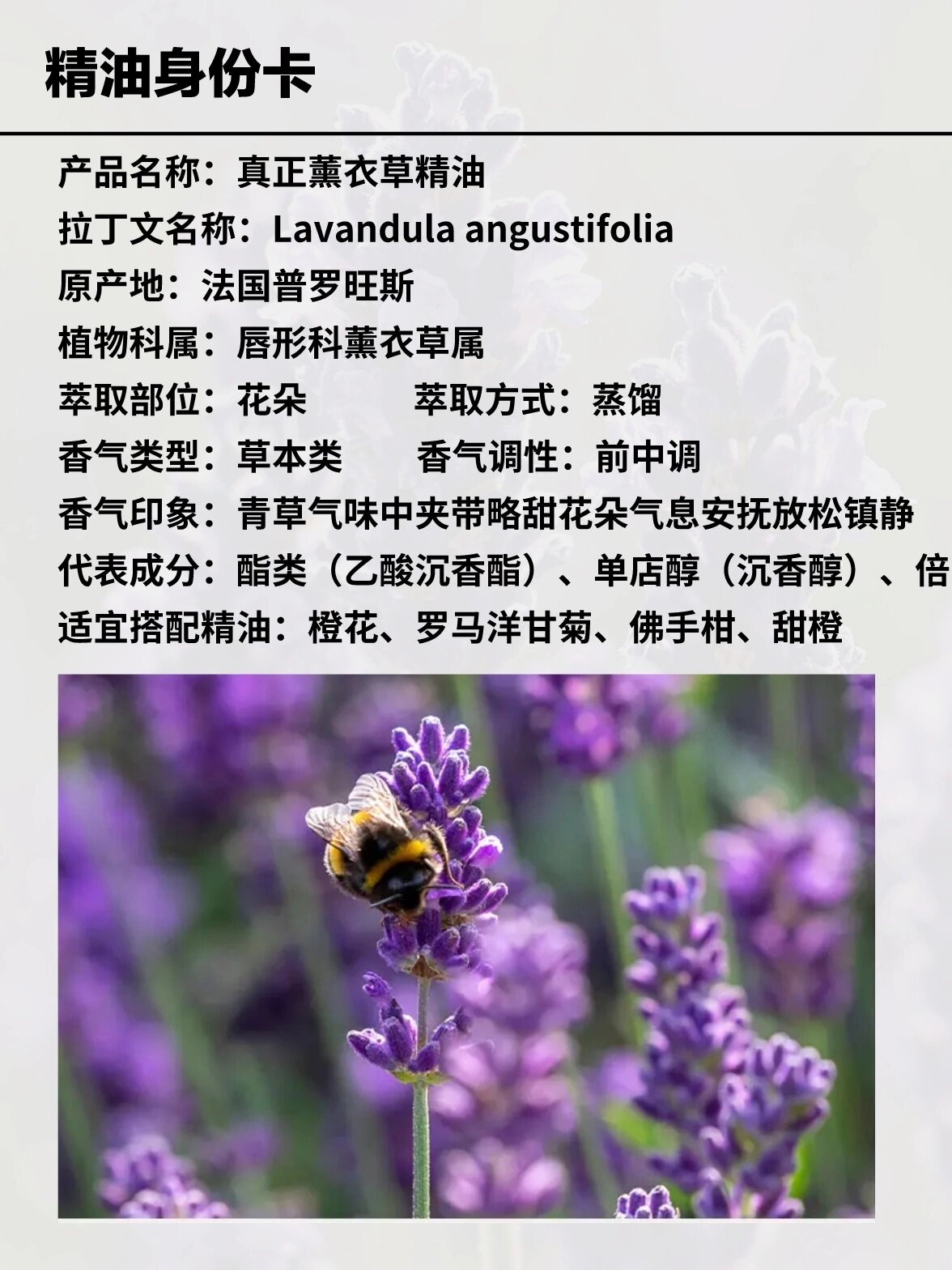 真正薰衣草精油|芳疗万用香薰精油实用配方 产品名称:真正薰衣草精油