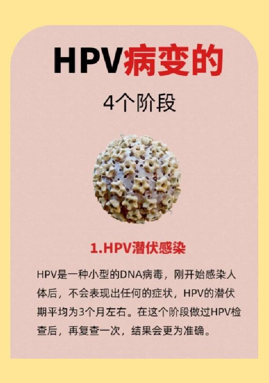 hpvdna图片