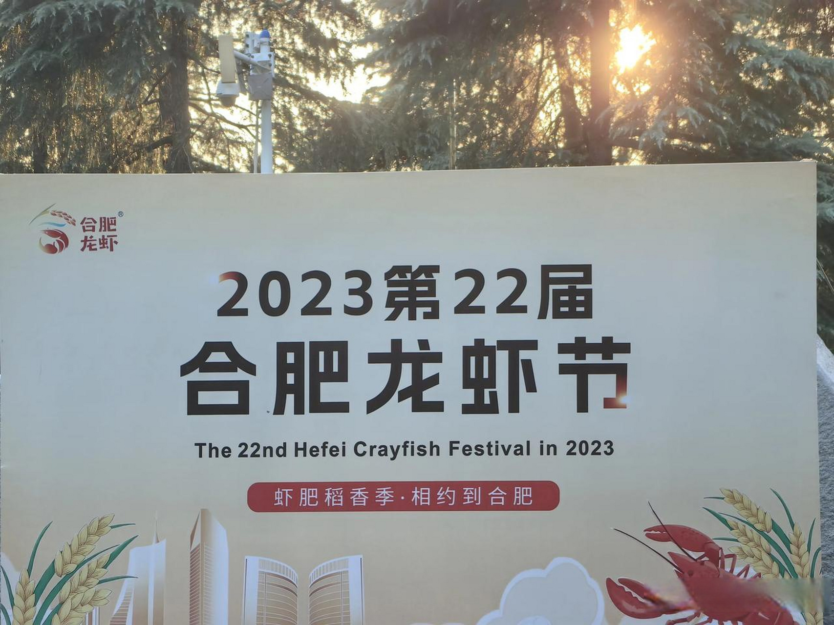 合肥龙虾节来了合肥百姓身边事