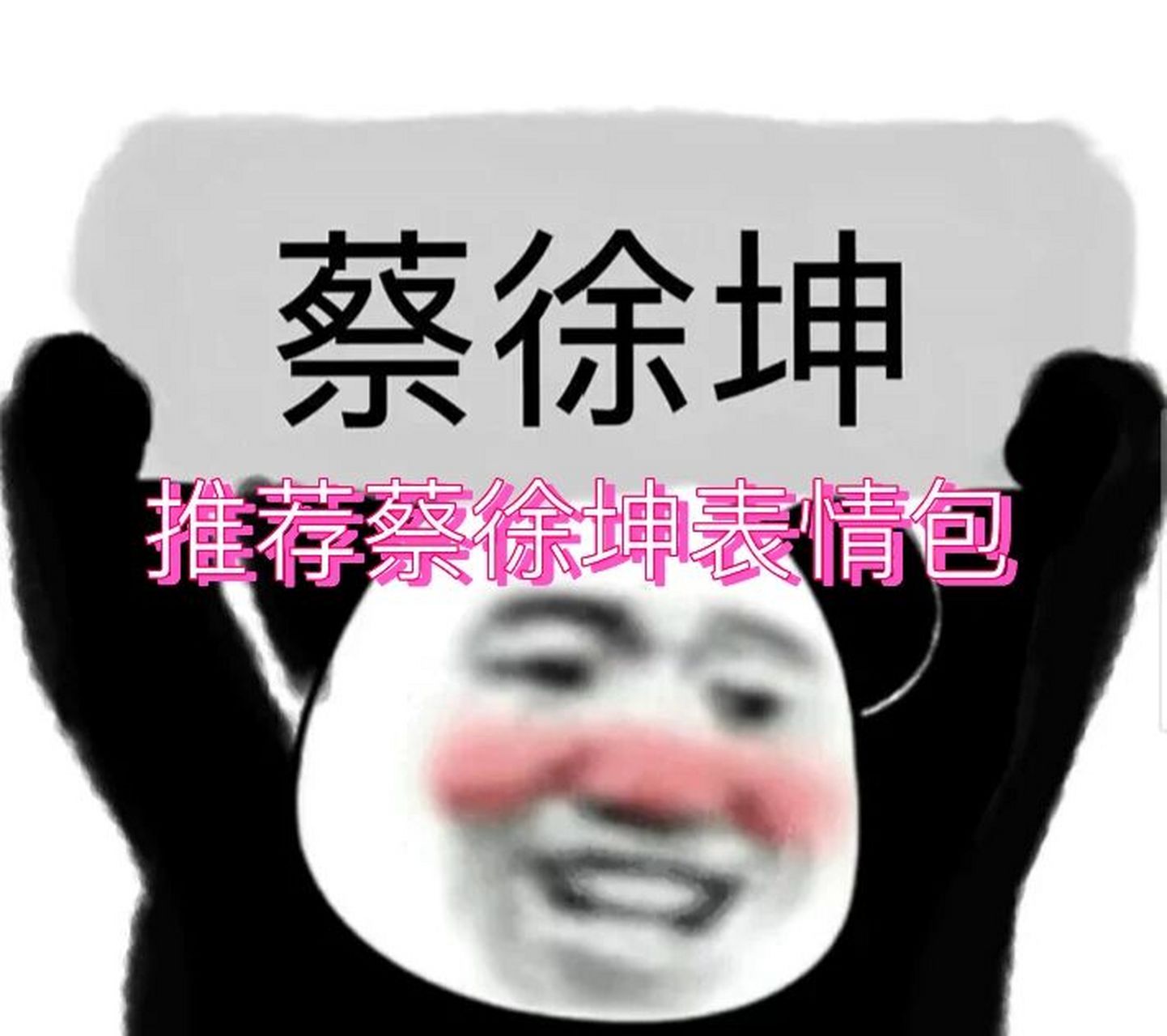 蔡徐坤表情包 偏爱只给蔡徐坤,是蔡徐坤的真爱粉出来吧 #理智追星拒绝