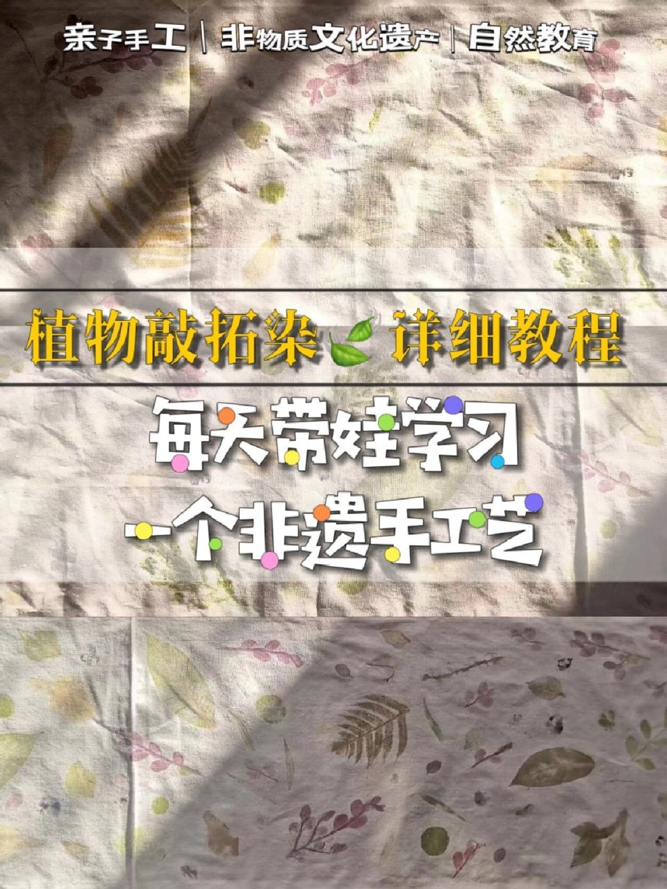 植物敲拓染教程95每天学习一个非遗手工艺75 今天分享一个简单的