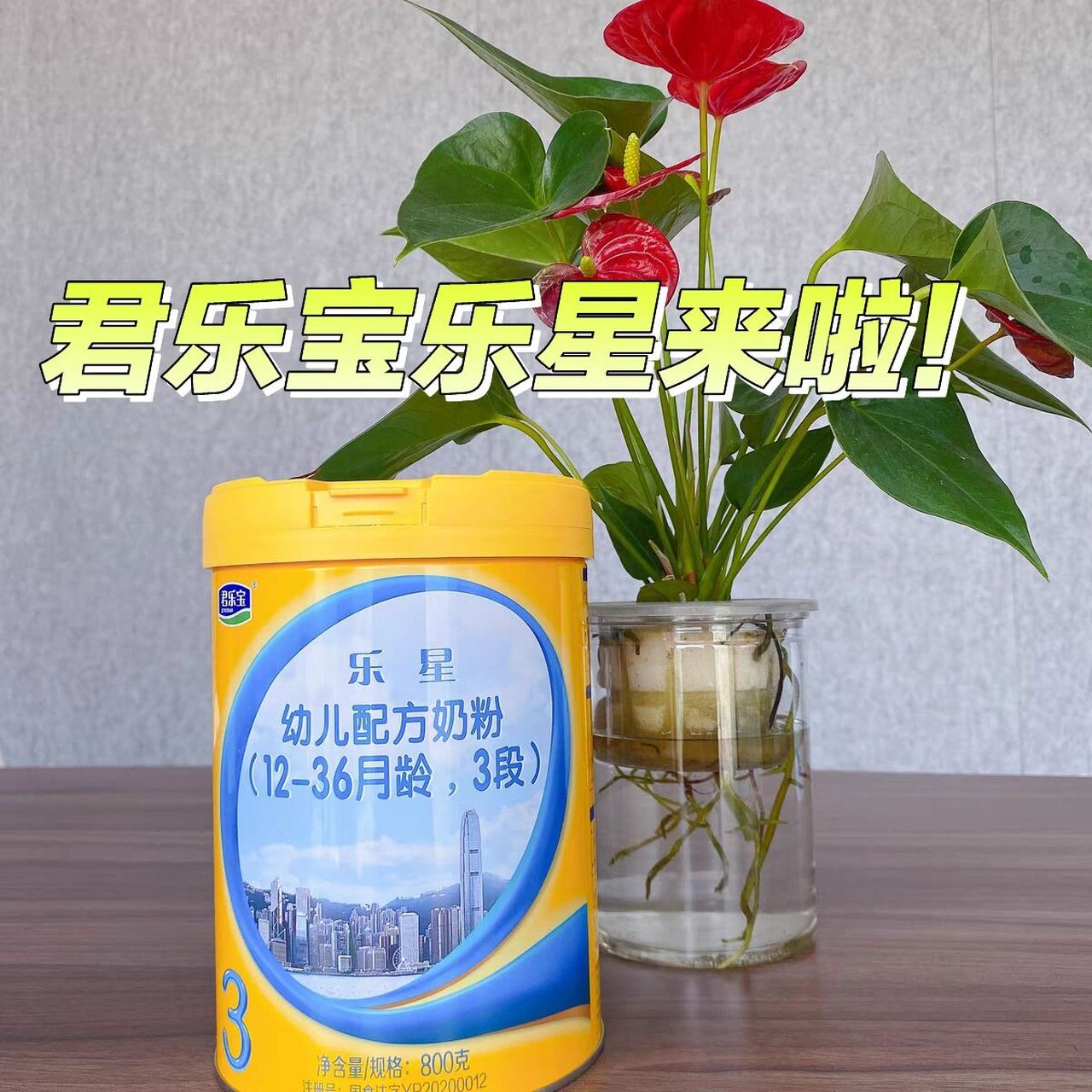 1/2/3段,可安排90 君乐宝旗下的乐星,也是大众所熟悉的一款奶粉噢