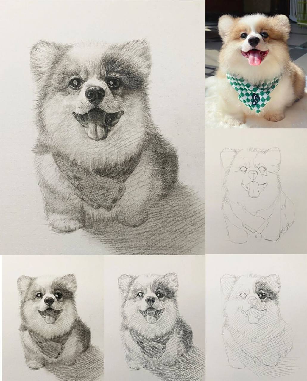 可爱全身狗狗素描步骤详解 #发一张最近的画# #素描# #素描动物# #零