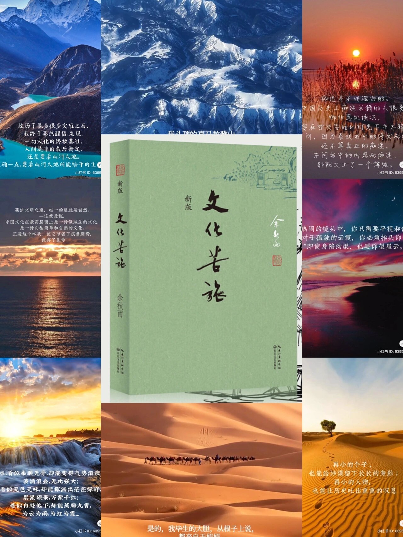 《文化苦旅》 余秋雨