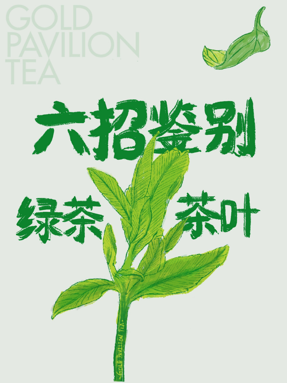 绿茶茶叶解说词（绿茶茶艺表演的解说意境美） 绿茶茶叶讲授
词（绿茶茶艺演出
的讲授
意境美）《绿茶茶艺表演讲解词》 茶叶资讯