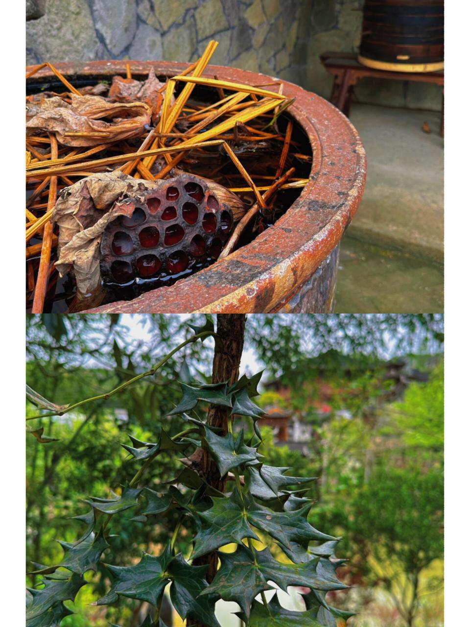 澧县——周末打卡 甘溪/溪上美术馆/雷家大院 一间藏在山间里的私人
