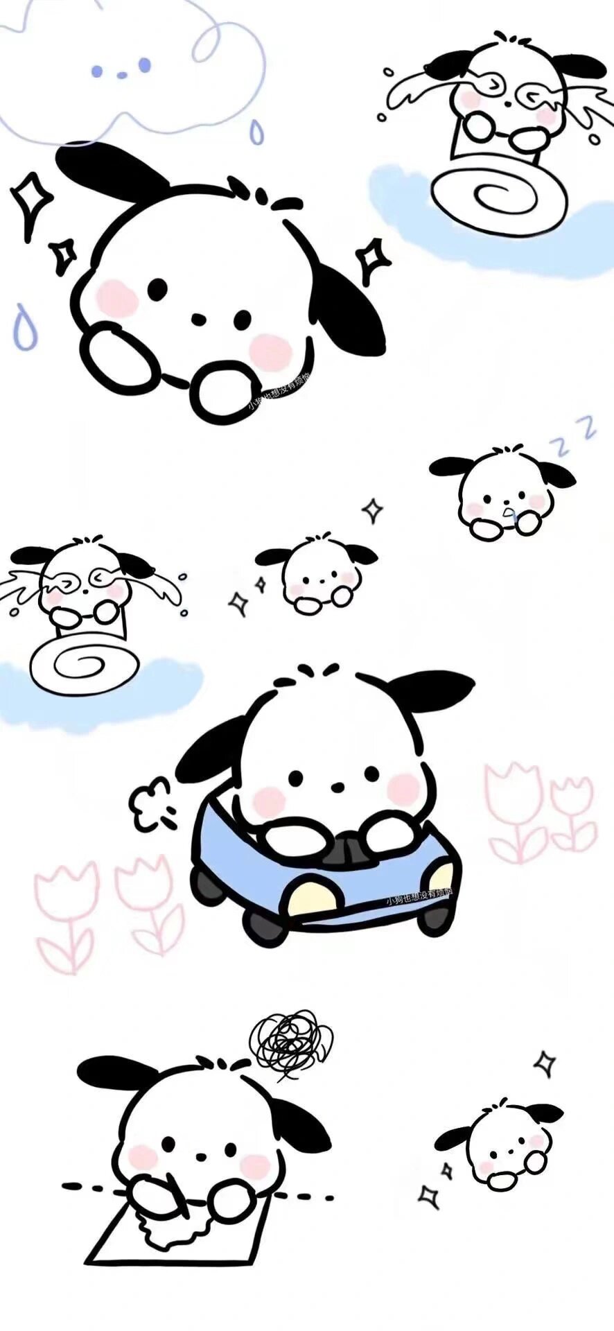 帕恰狗可爱壁纸,想要拿!