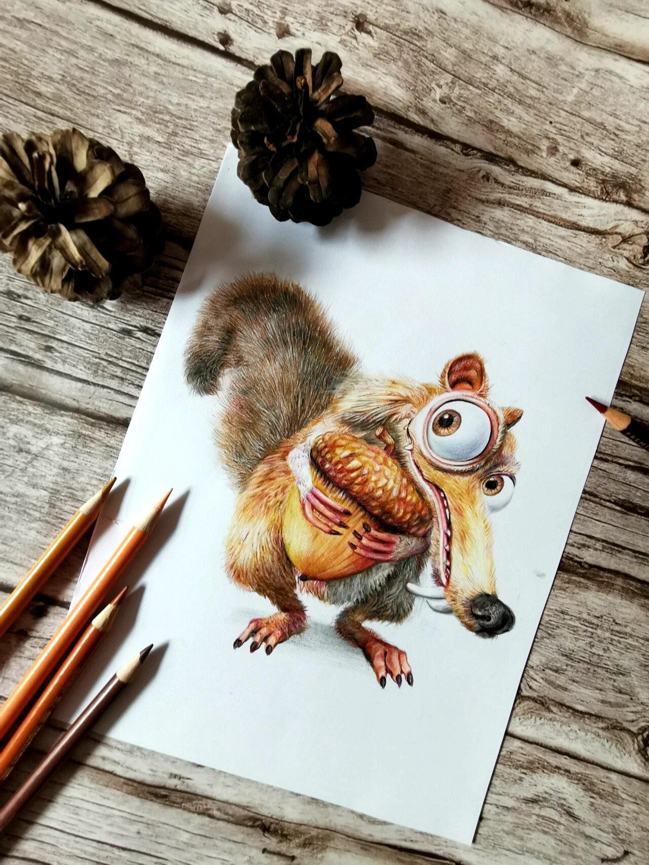 彩铅卡通松鼠(步骤图