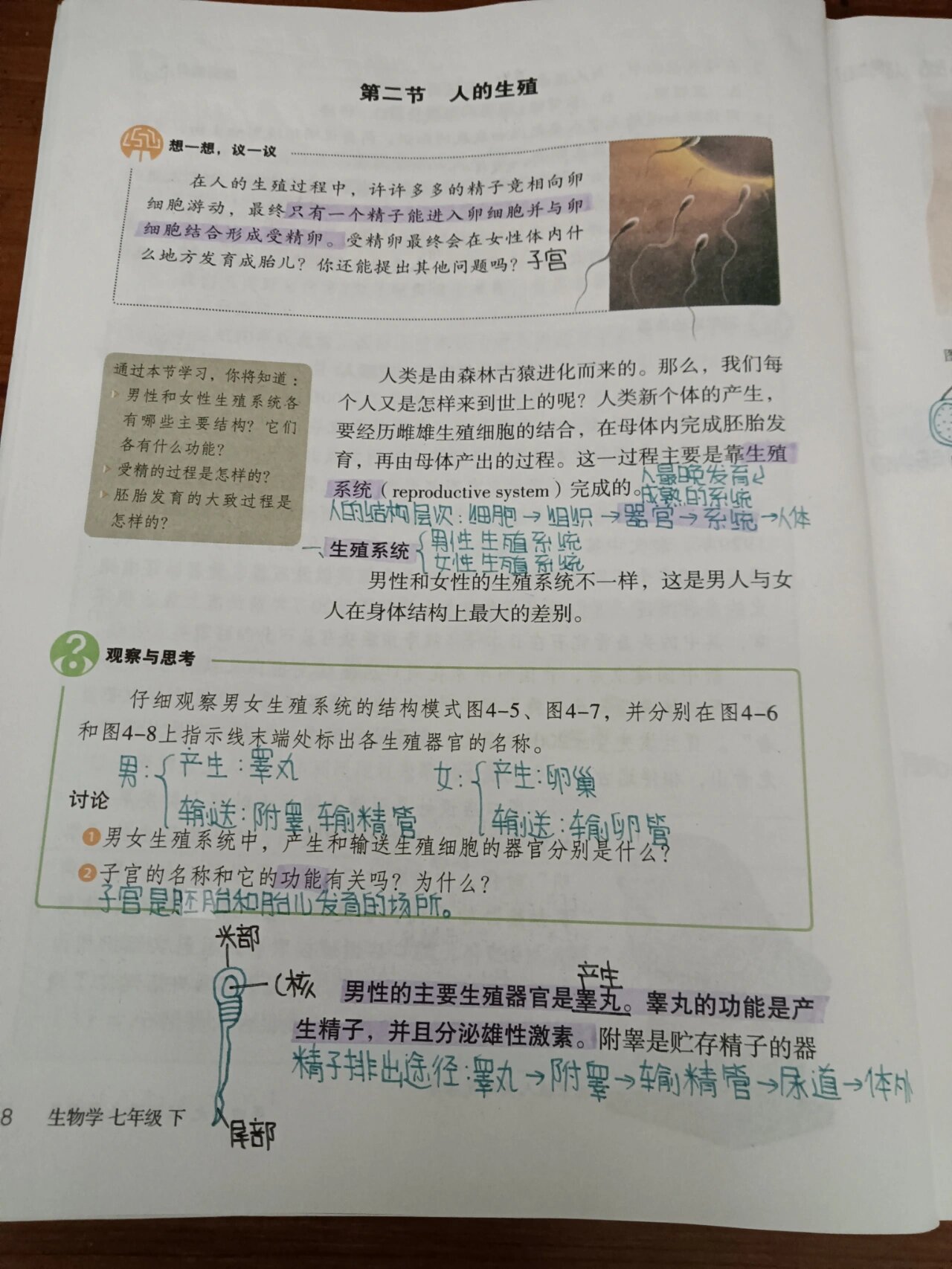 七下生物纠错(七下生物易错字)  第1张