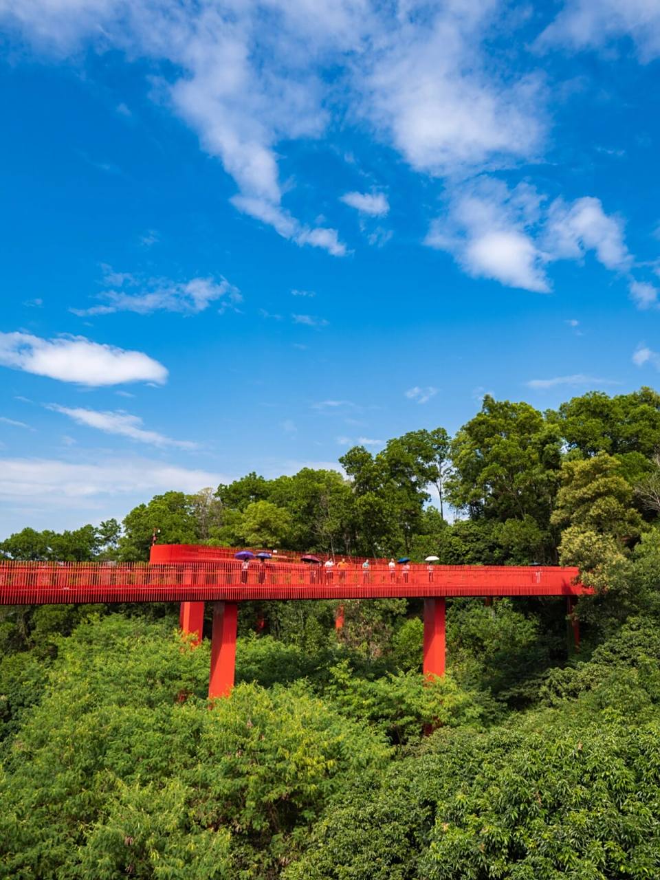 深圳光明92虹桥公园77红桥绿树蓝天白云78 虹桥公园,红桥,网