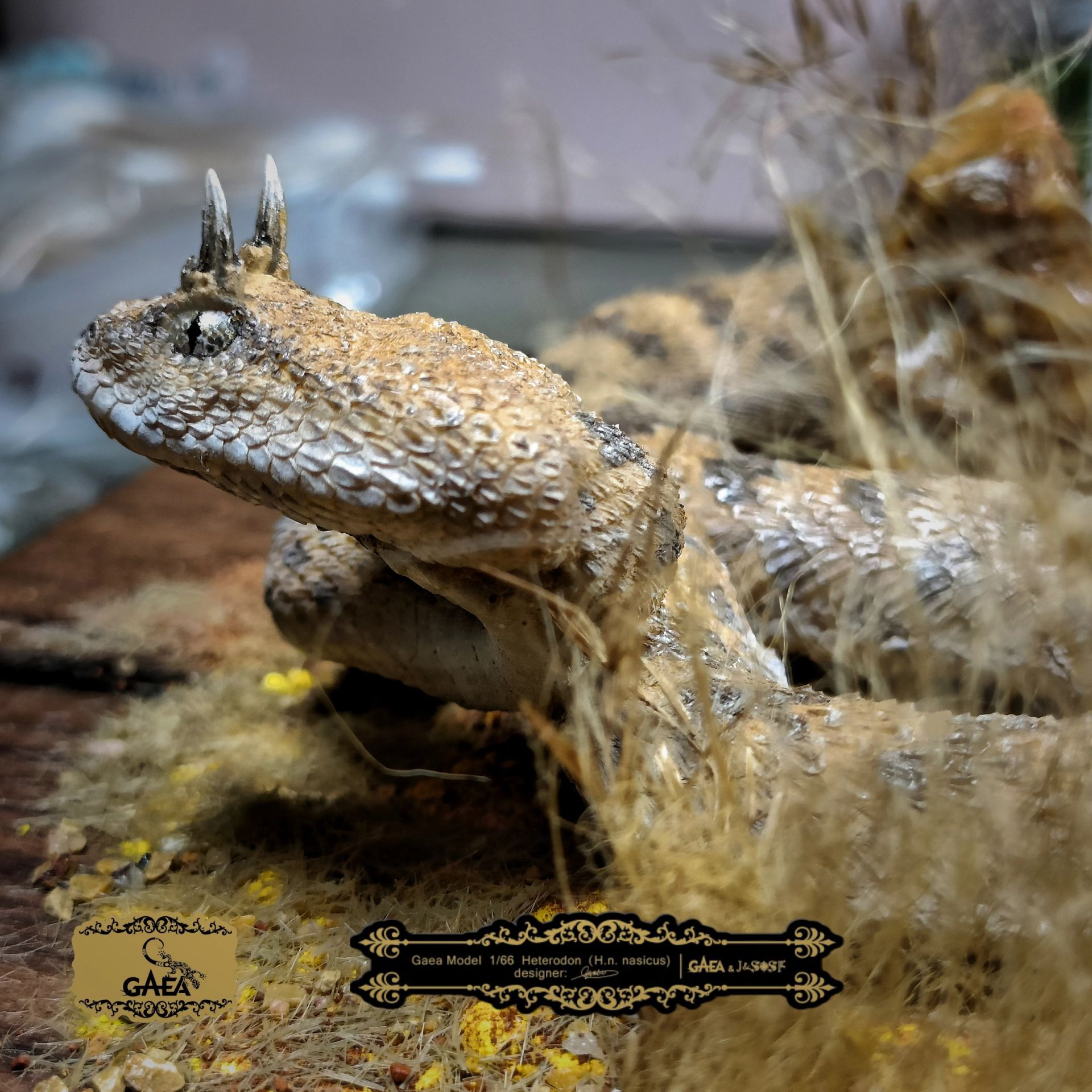 头上长角的蛇一般叫蛟龙,它真实存在哦