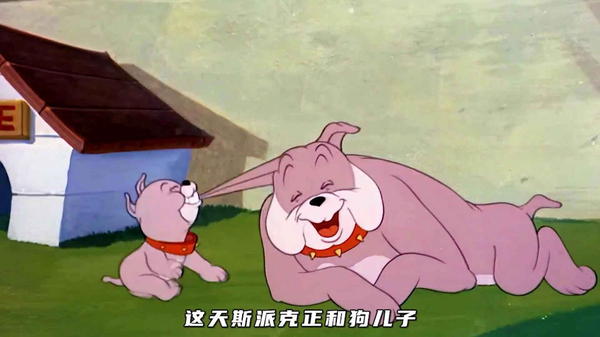 《猫和老鼠》之"斯派克"|动漫里的狗 斯派克(spike,1942年4月18日-)