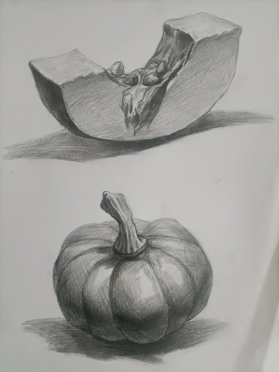 六年级学生画的素描南瓜