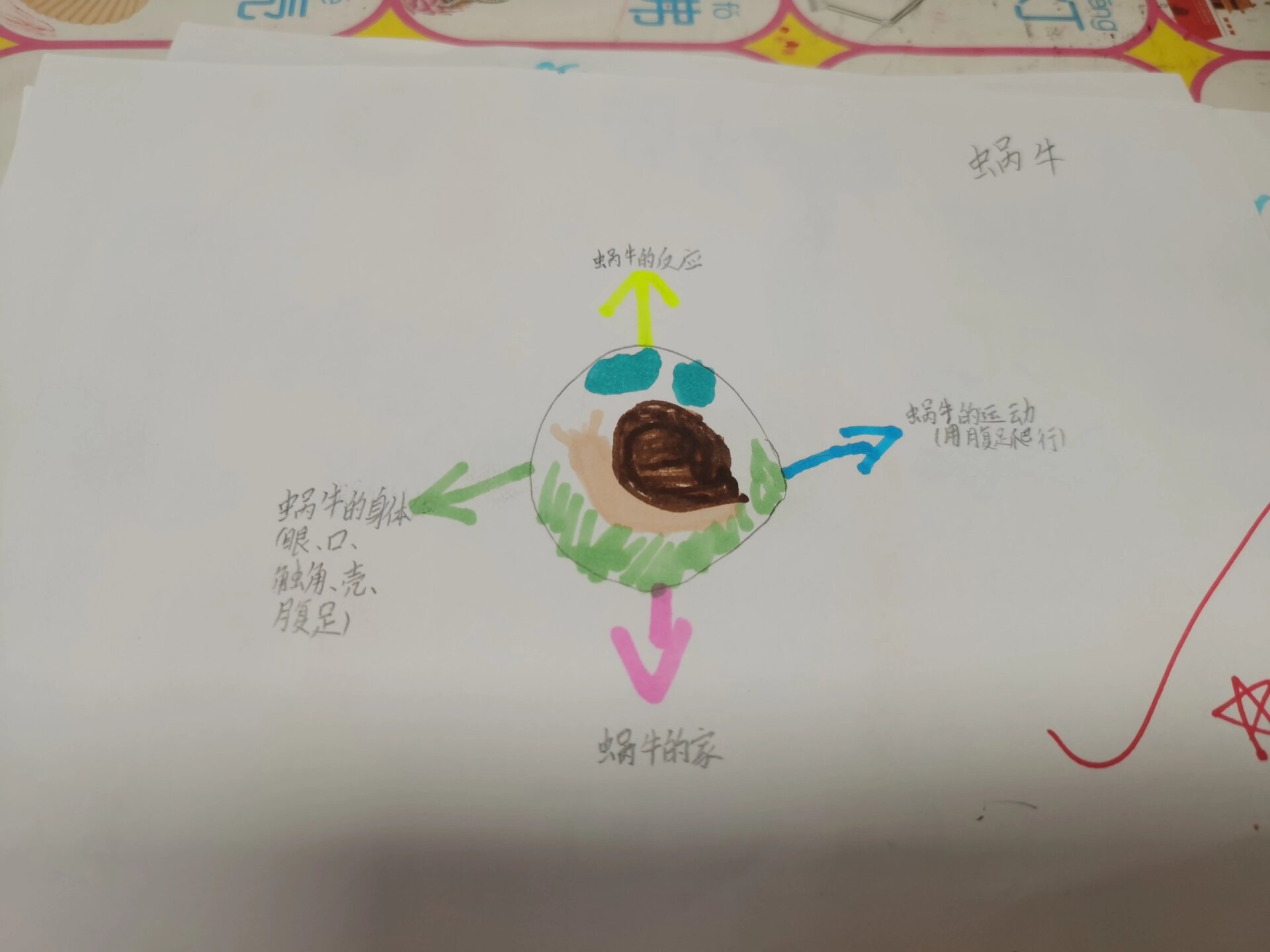 蜗牛的思维导图怎么画图片