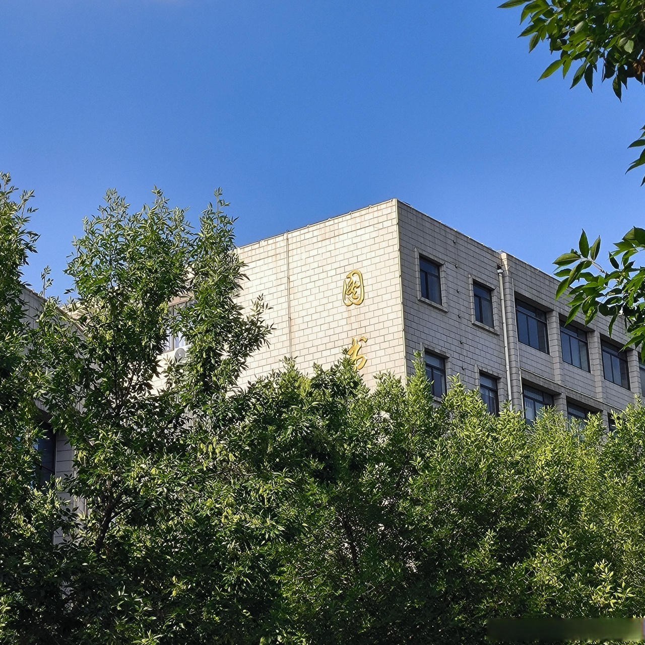 校园随手拍# #滨职剪影##滨州职业学院# 尊重各种声音但只成为自己.
