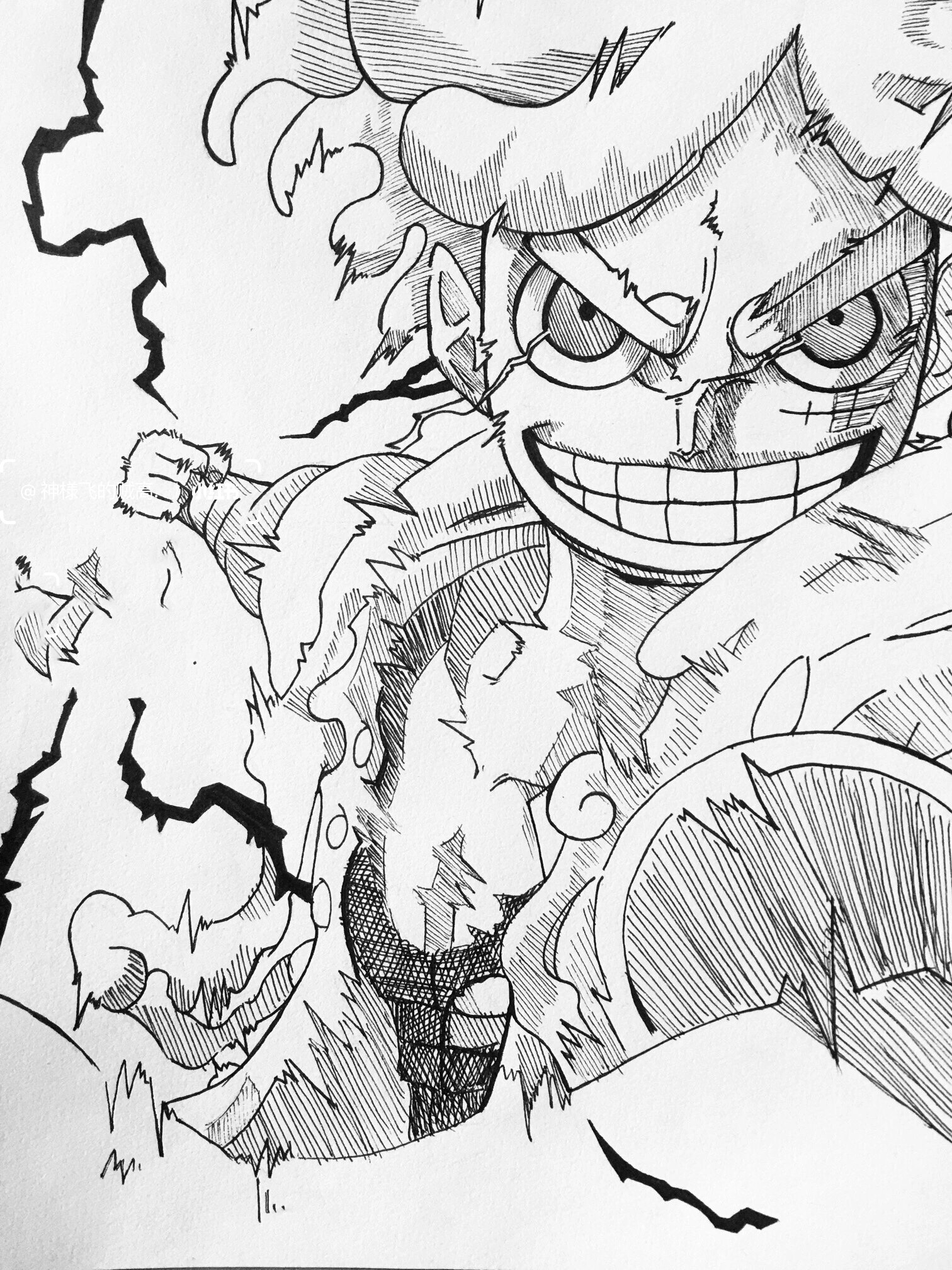 五档路飞手绘教程